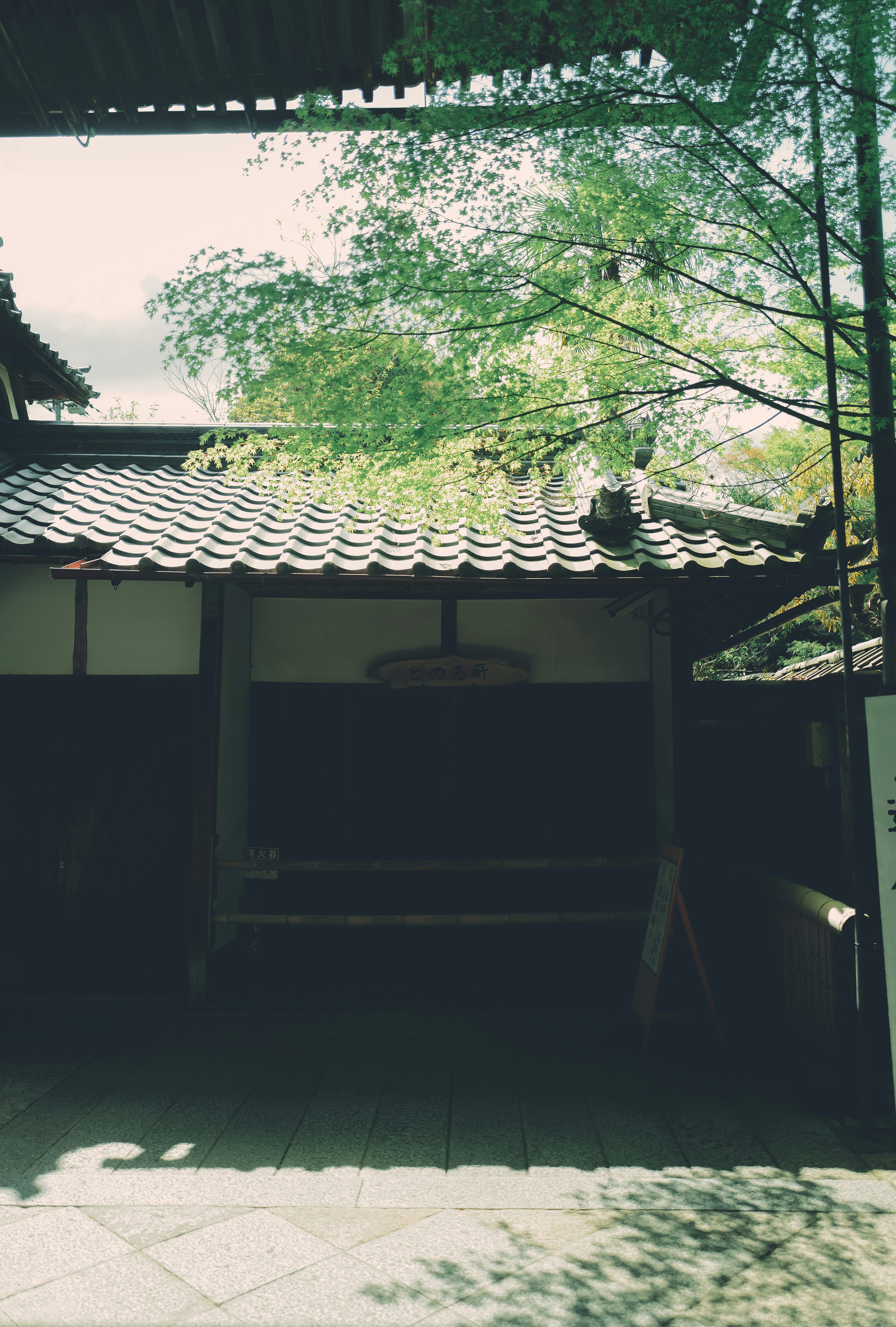 日式庭院，樹影斑駁的陽光與帶屋頂的小建築