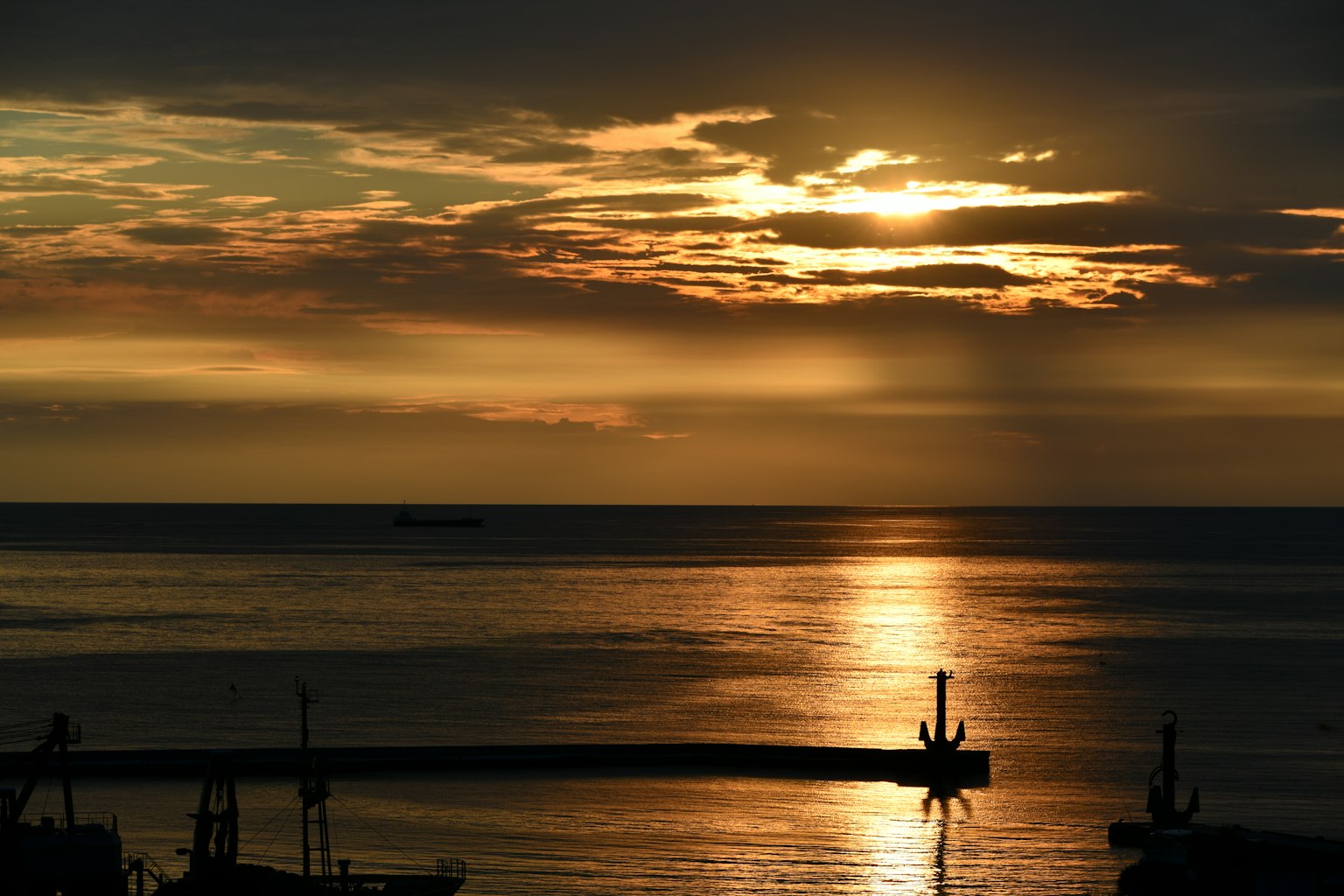 photo-nJcbS2iNzfxTNBa0SYwO-image