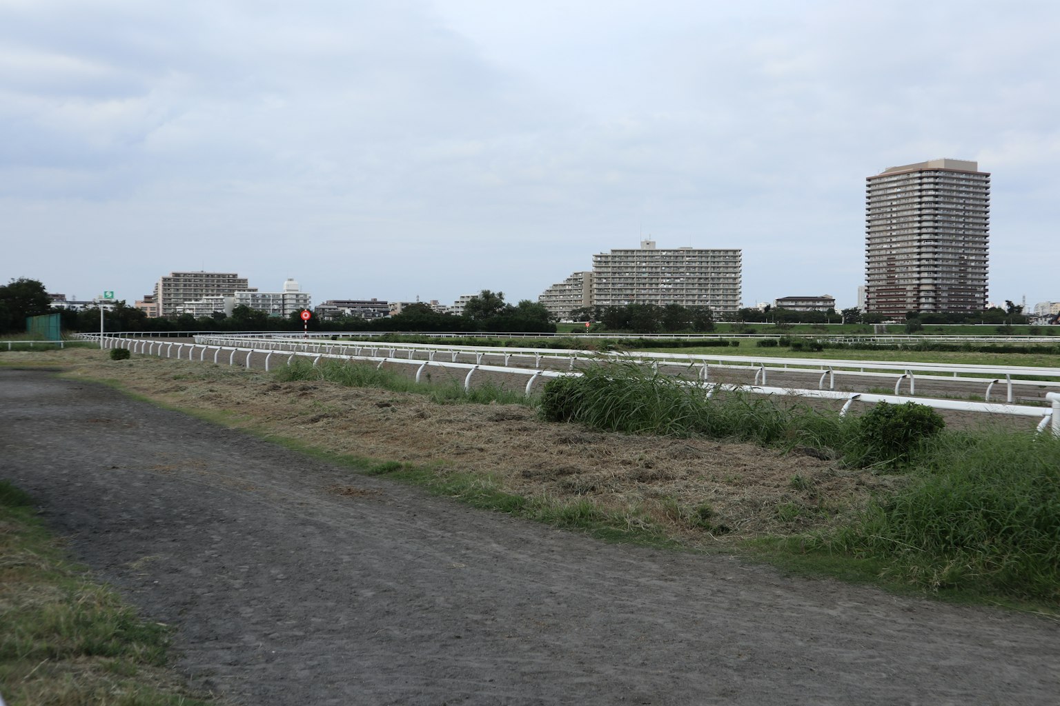 Landscape of a racetrack with green areas and high-rise buildings