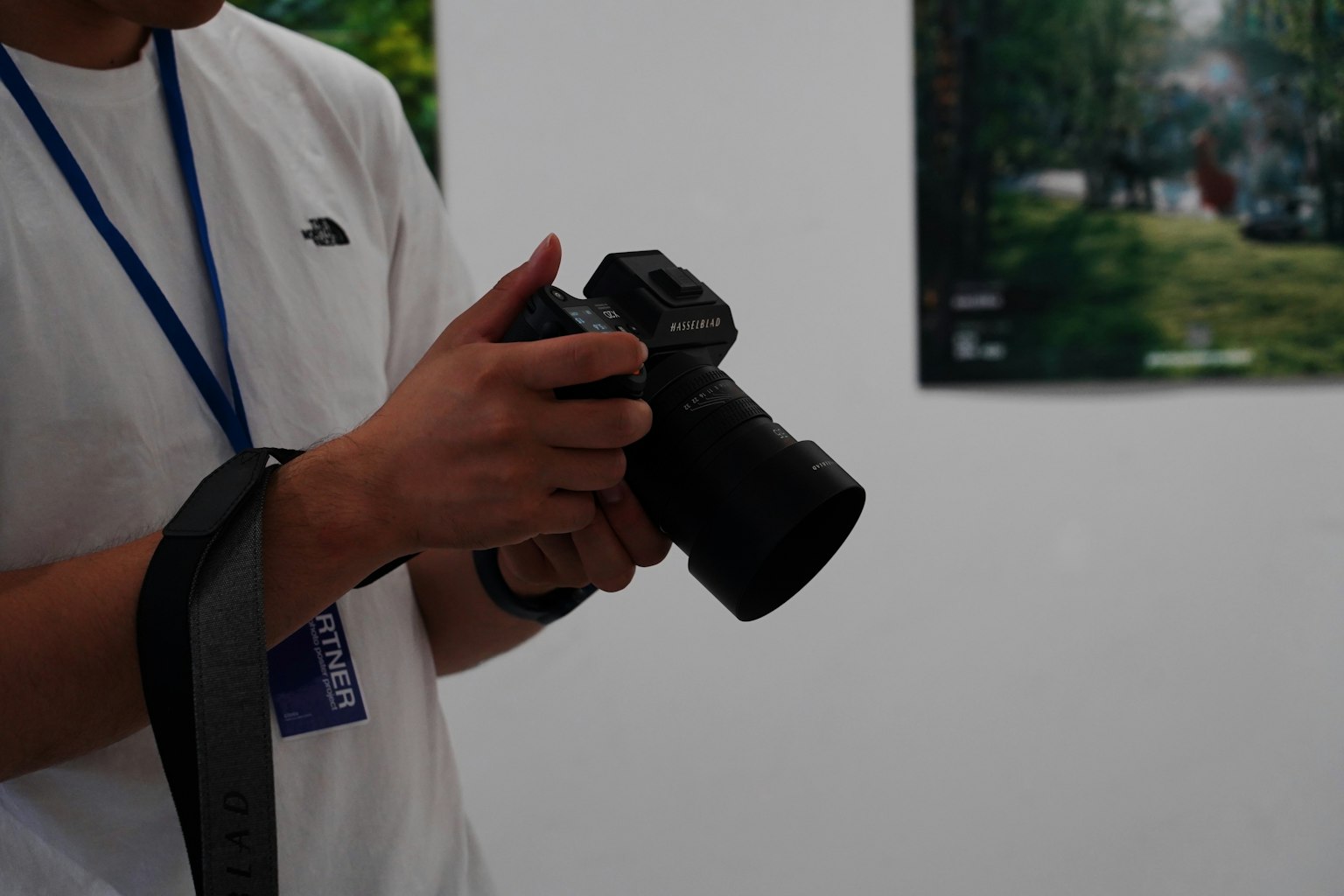 Persona sosteniendo una cámara con fotografías exhibidas al fondo