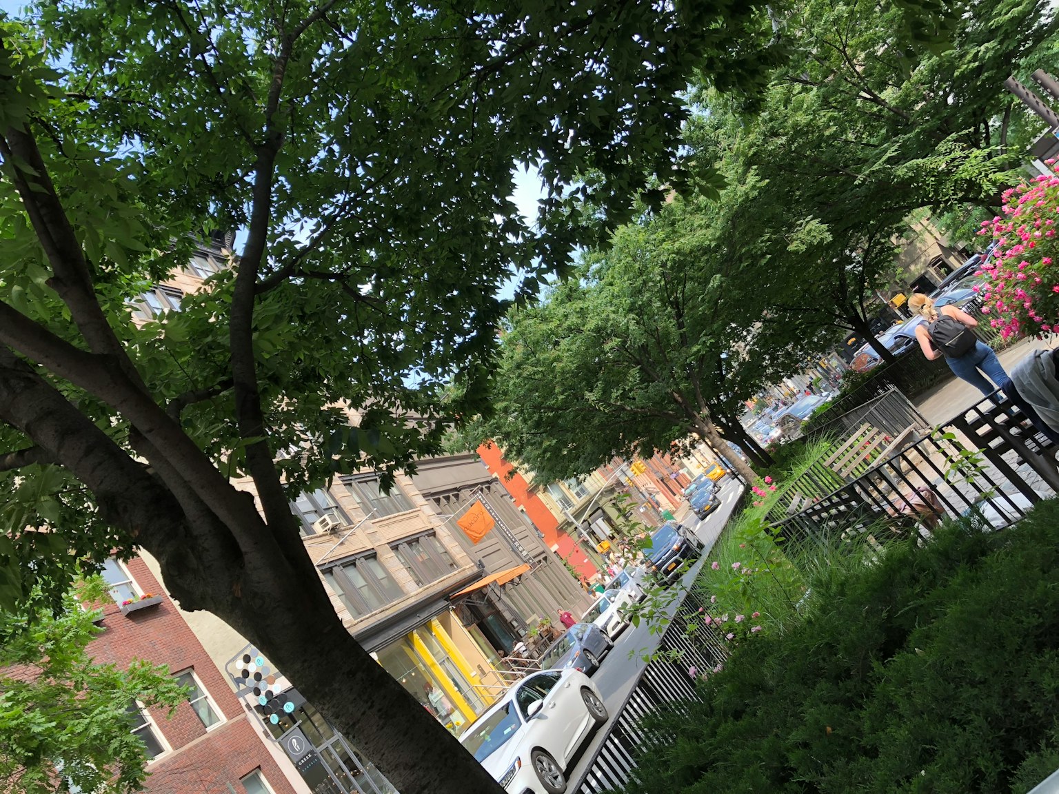 街道景觀，背景是郁郁蔥蔥的樹木和城市建築