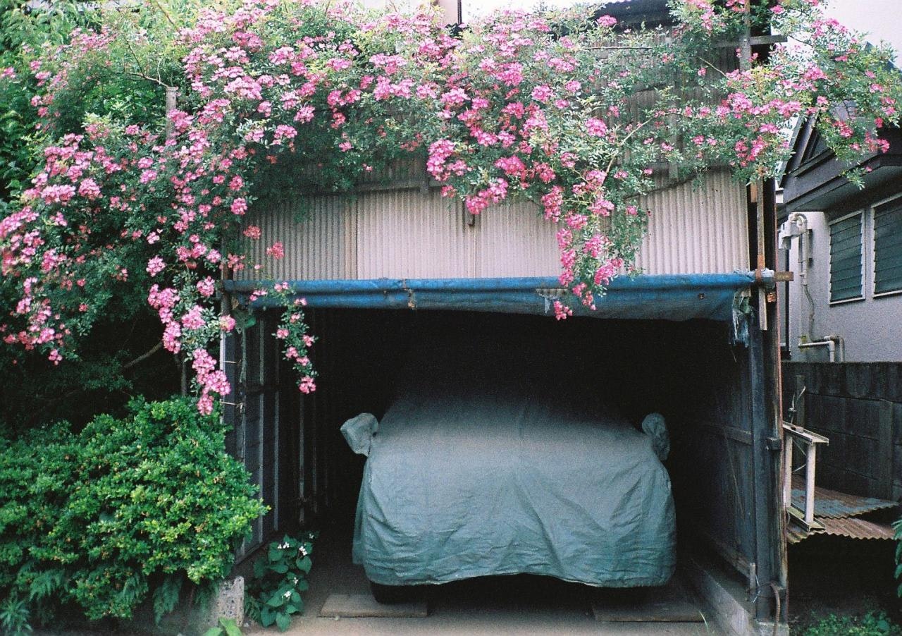 ピンクの花が咲く小さな中庭の物置スペース