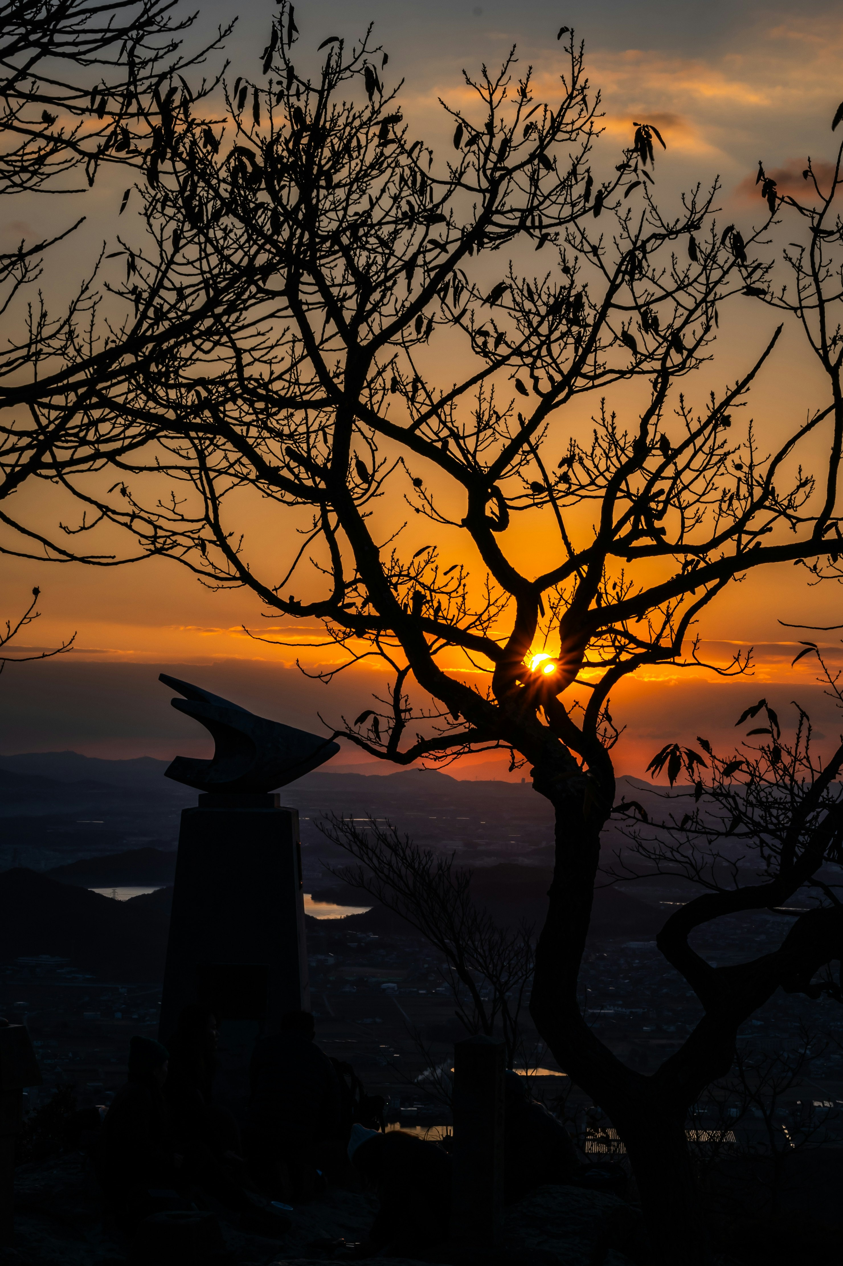 冬の夜明け前に見上げる木と朝日が差す山の稜線