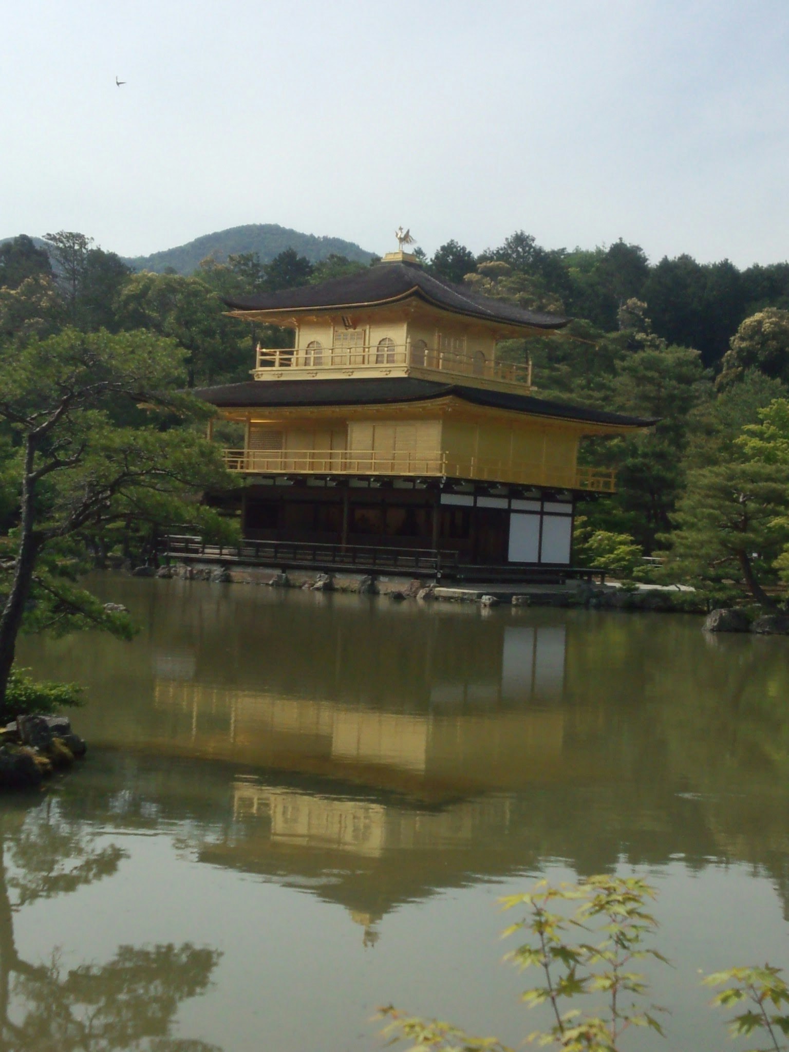 Kinkaku-ji che si riflette nello stagno circondato da vegetazione