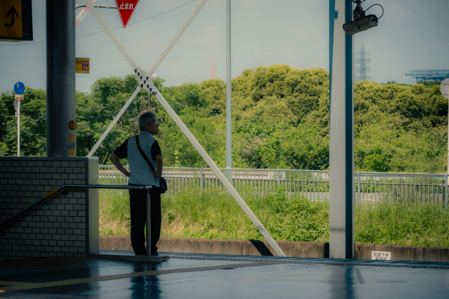 Un homme debout sur une plateforme de train avec un paysage vert en arrière-plan