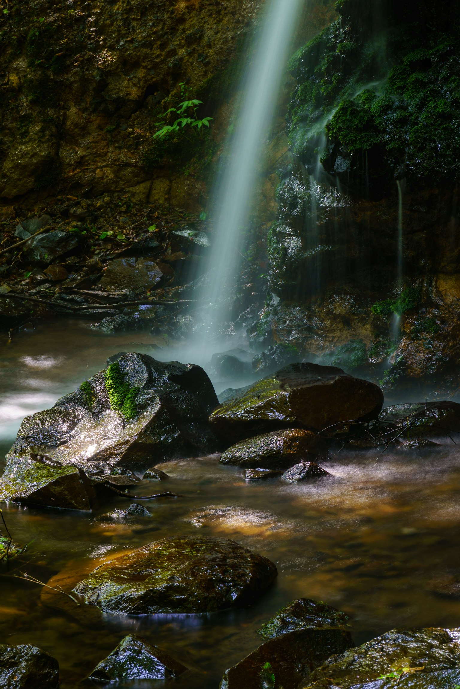 Una cascata serena che scorre su rocce circondate da vegetazione lussureggiante