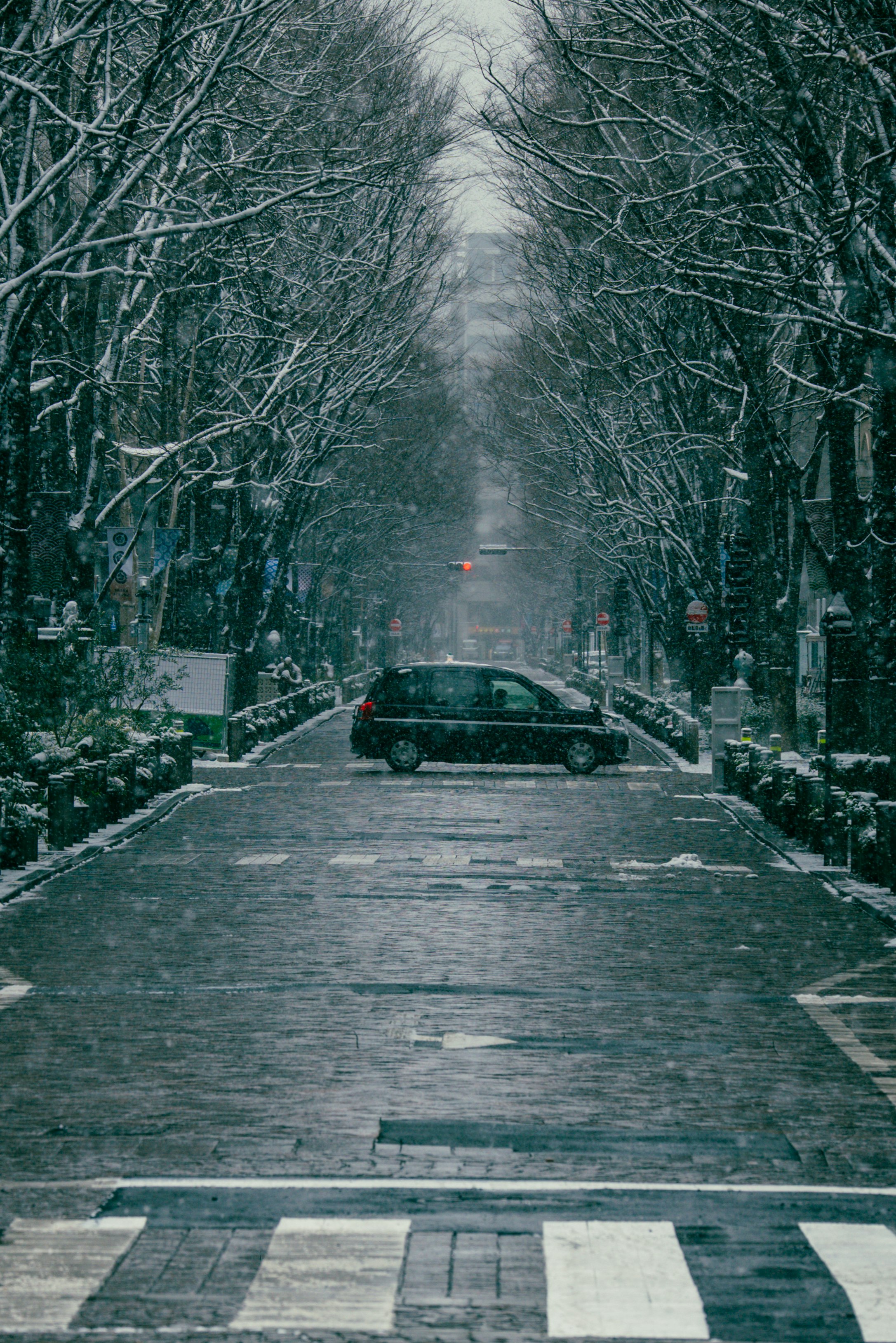 雪の降る東京の並木道を走る車のある街路