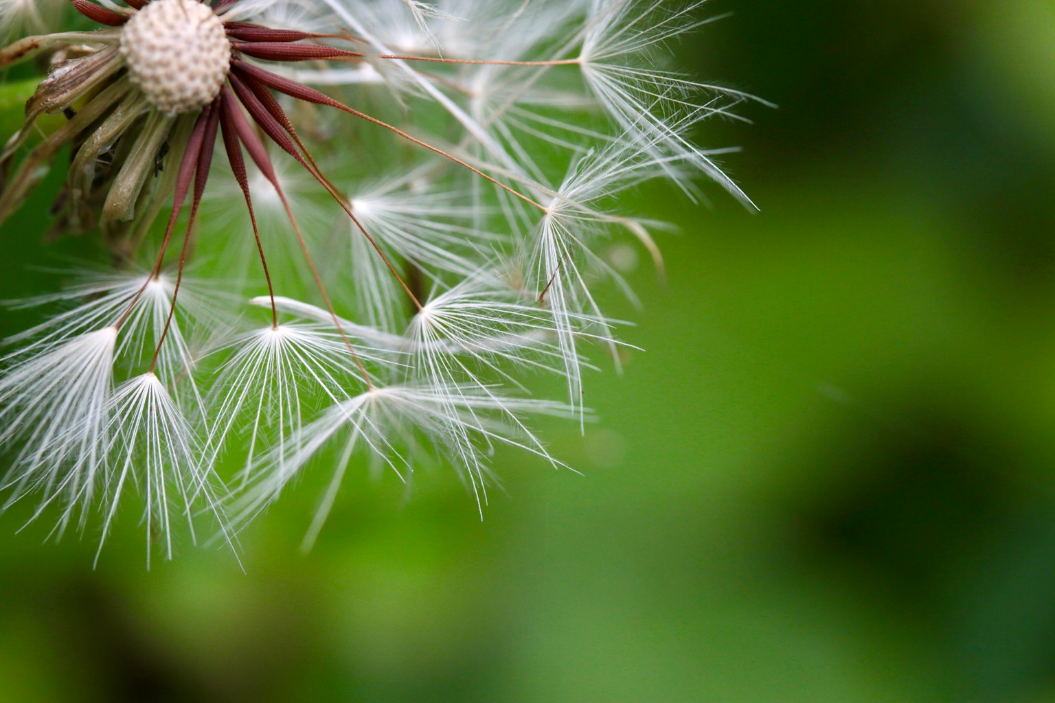 photo-nM9WY0bq3a0EHlGlLx1u-image