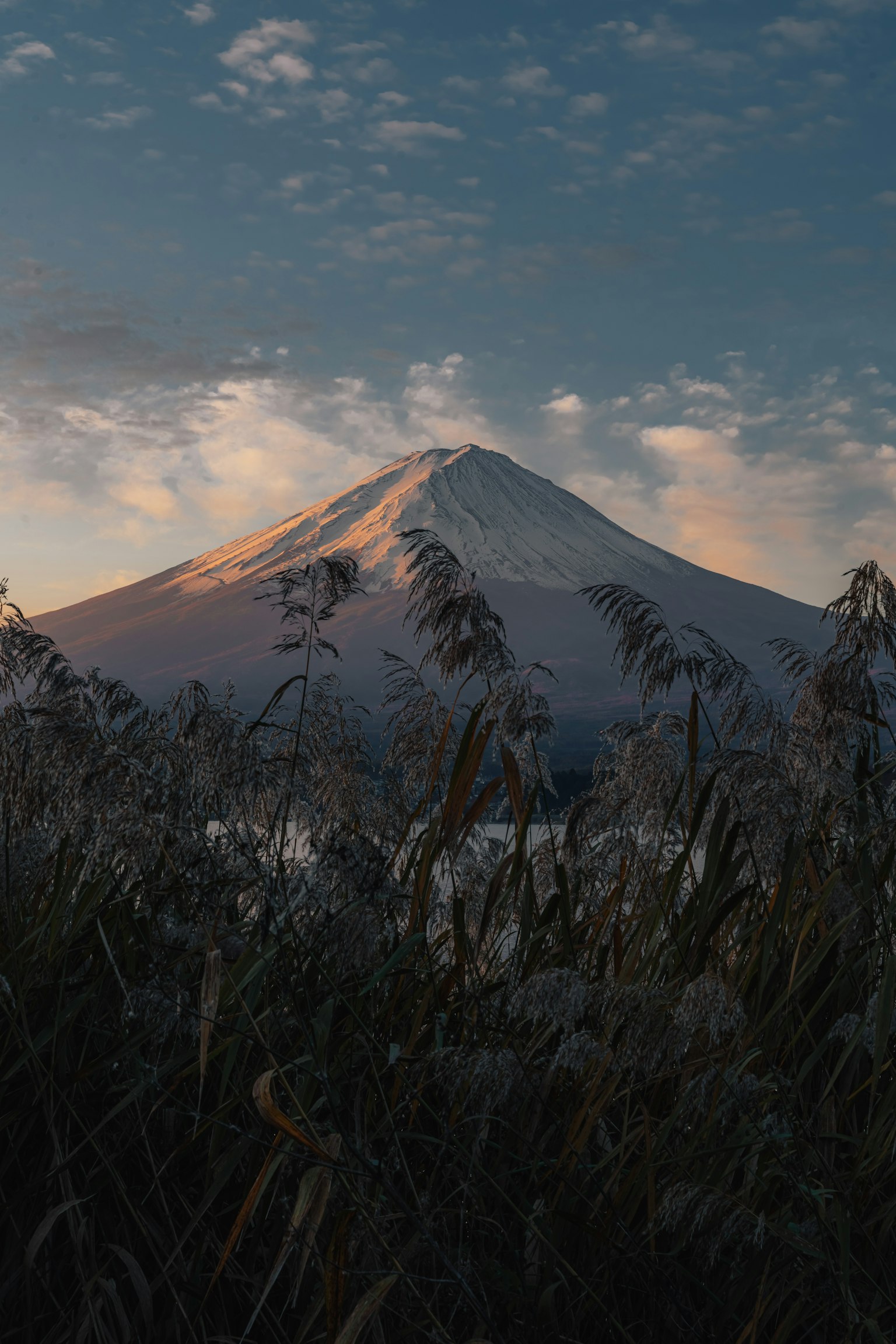 Monte Fuji al tramonto con erbe in primo piano