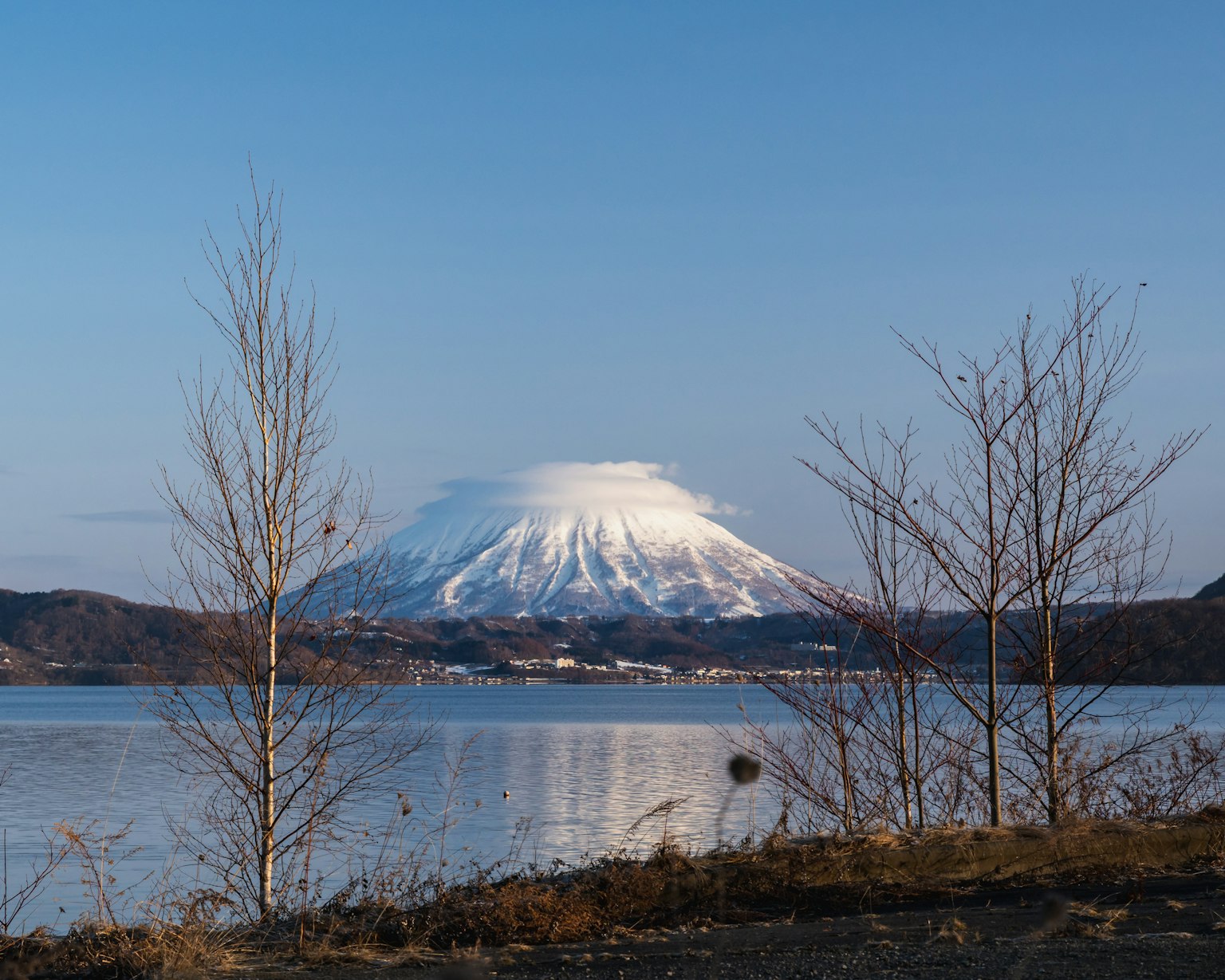 Montagna innevata con lago calmo e alberi spogli