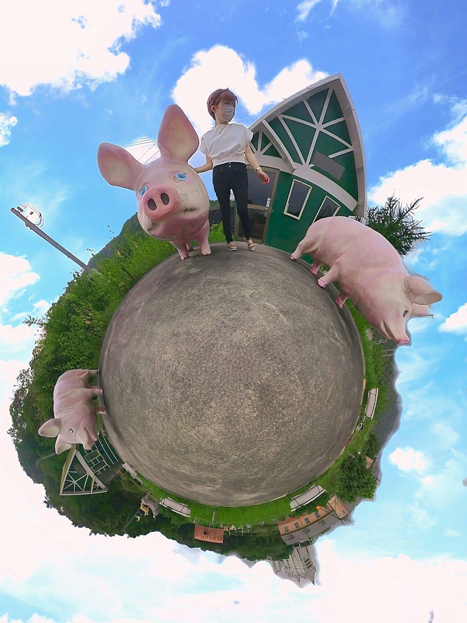 Una imagen panorámica de una persona de pie con lechones contra un cielo azul y un paisaje verde