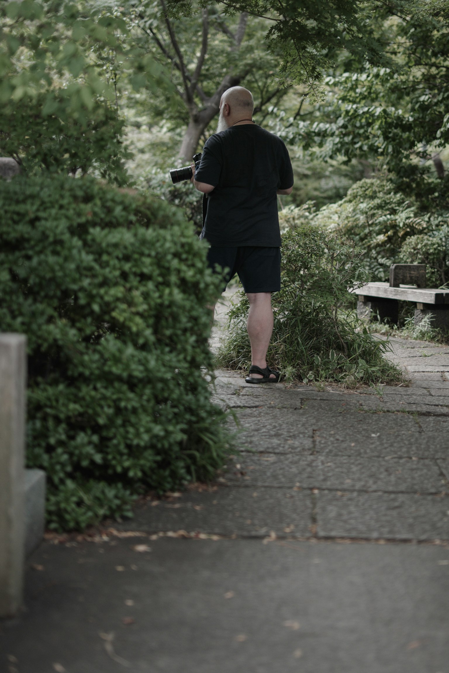 Ein Mann von hinten gesehen, der in einem üppigen Park geht