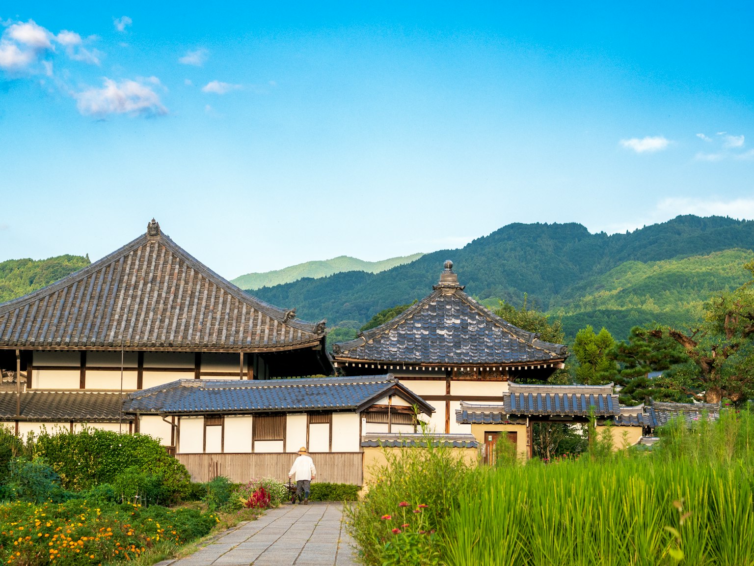 전통 건축의 경치 좋은 모습과 배경의 산들