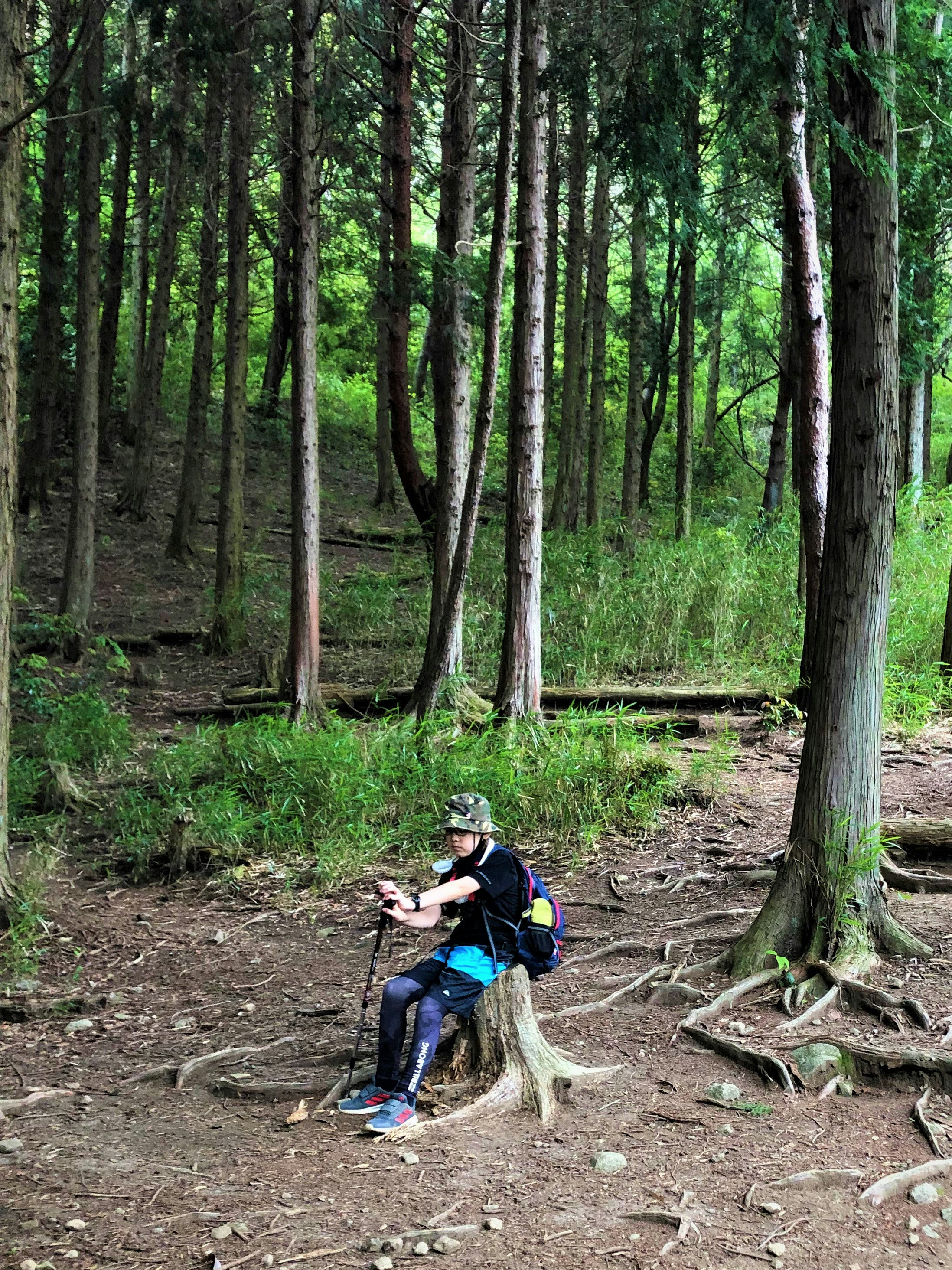 hiker resting in a forest while checking a map