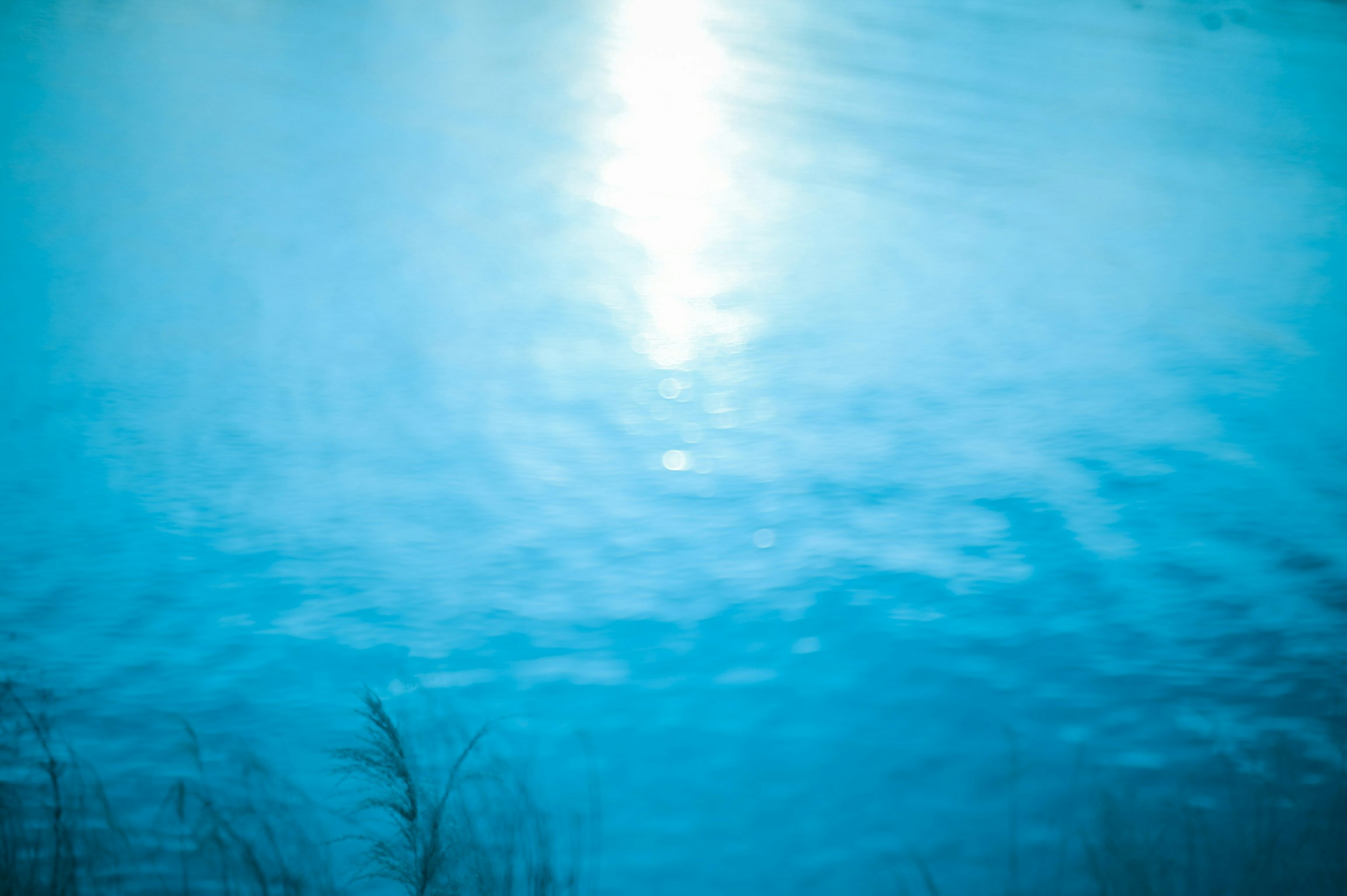 paesaggio marino: superficie blu e raggi di luce sott’acqua