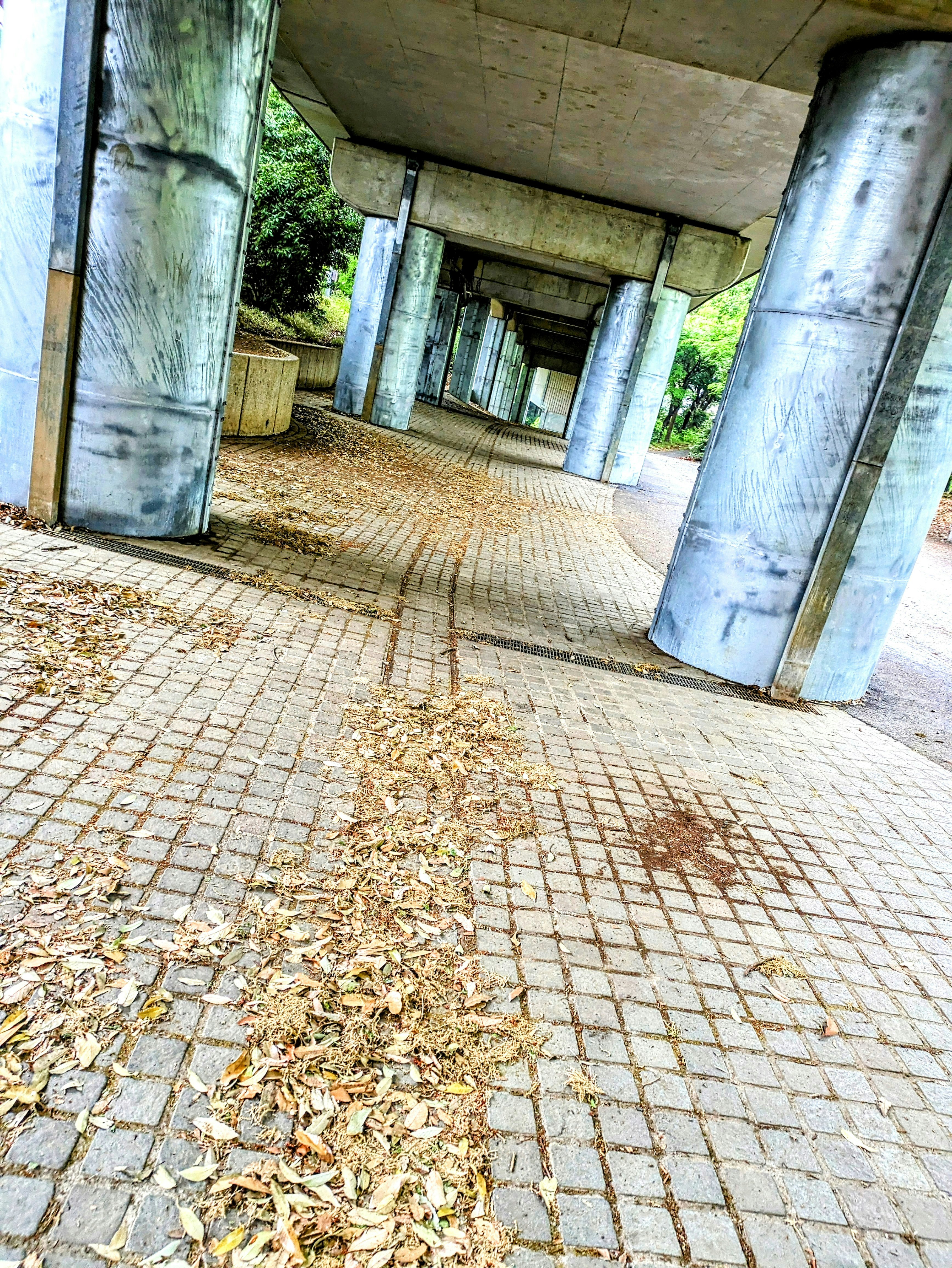 高架下鋪裝路面上堆滿落葉