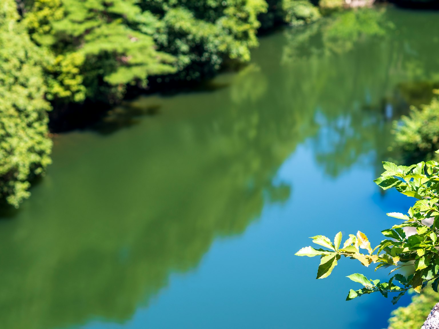 Lush river landscape with reflections of trees on the water surface