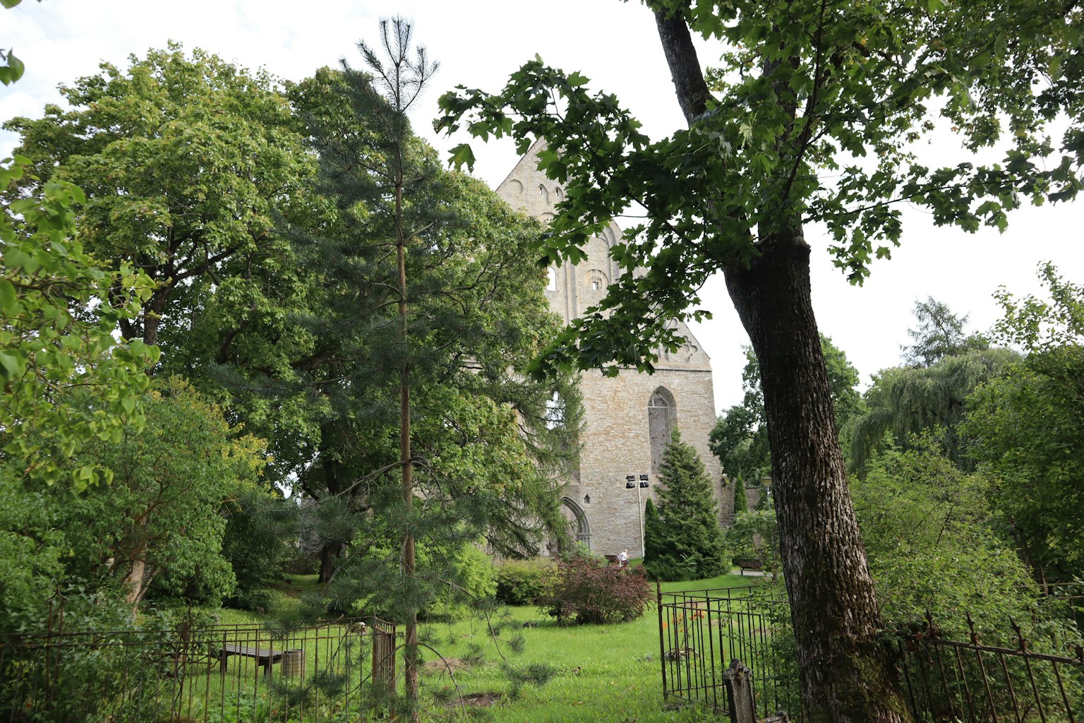 A view of an old church ruin surrounded by greenery