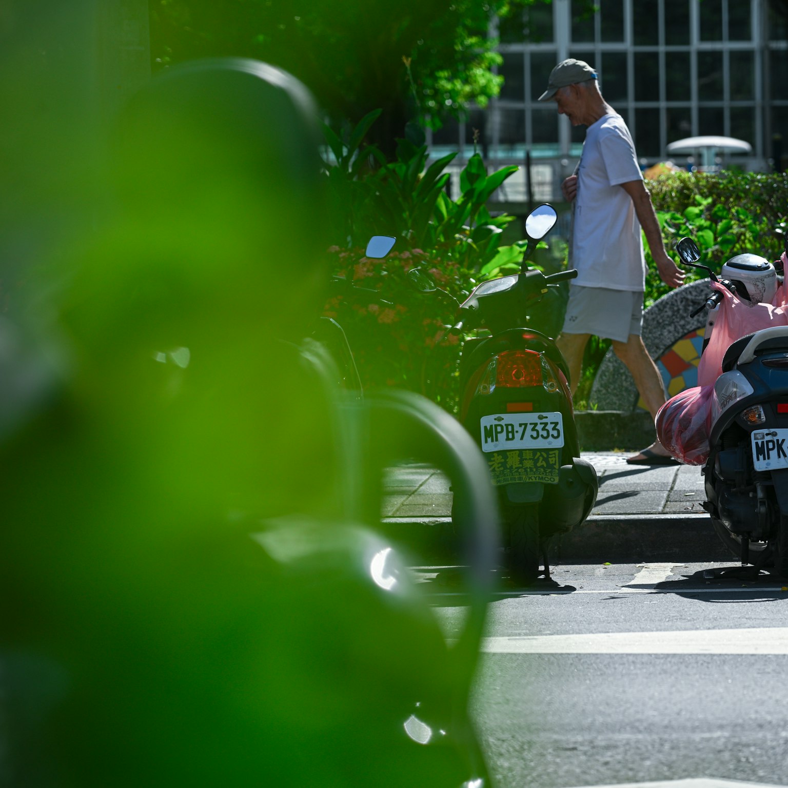 Una escena de calle con una persona caminando junto a scooters estacionados enmarcada por hojas verdes