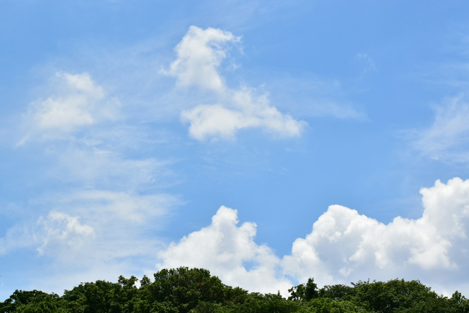Blue sky with fluffy white clouds