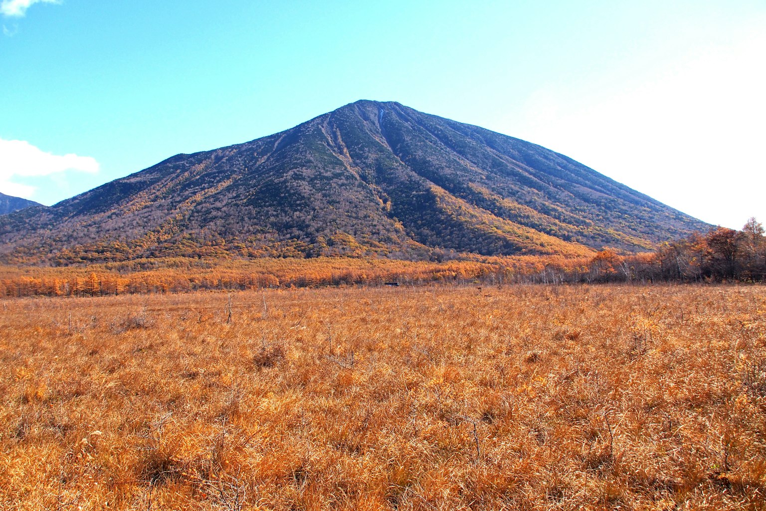 Montaña rodeada de colores otoñales y pradera extensa