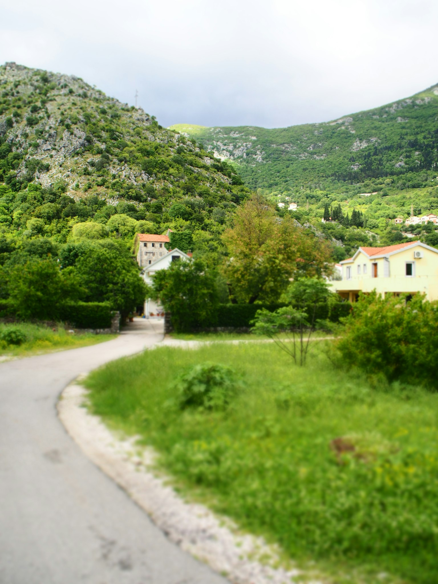 Strada panoramica con vegetazione lussureggiante e case in un'area montuosa
