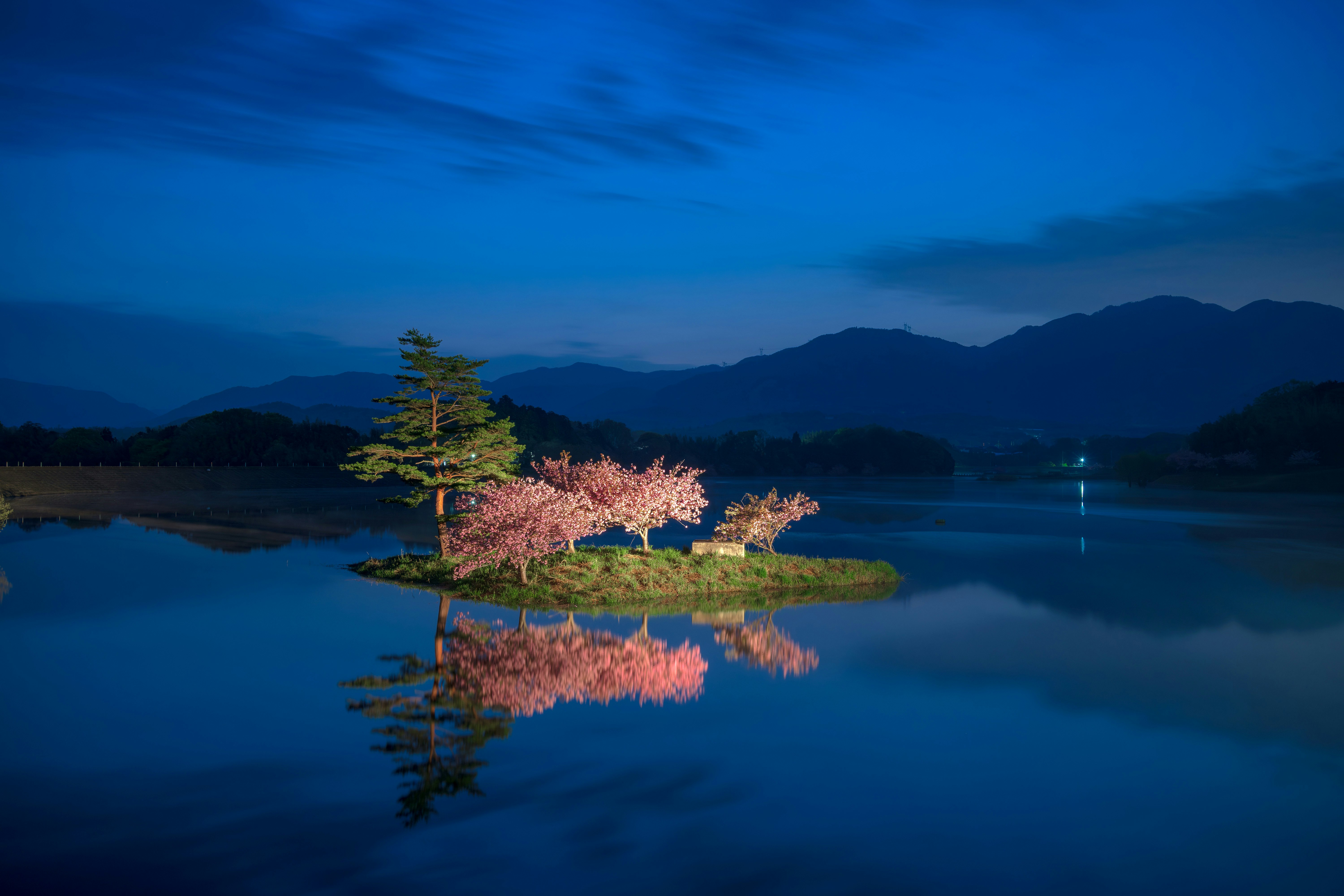 日野川ダム湖に浮かぶ八重桜の小島と山並みの夜景