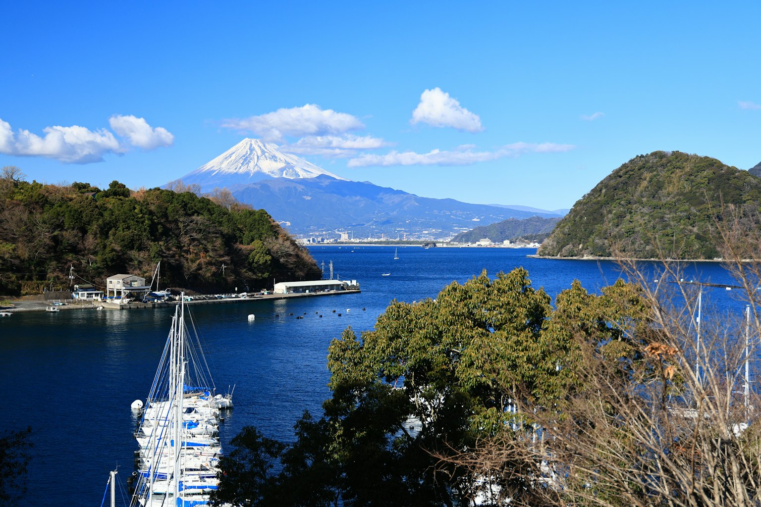 Vista panoramica del monte Fuji con un porto e barche