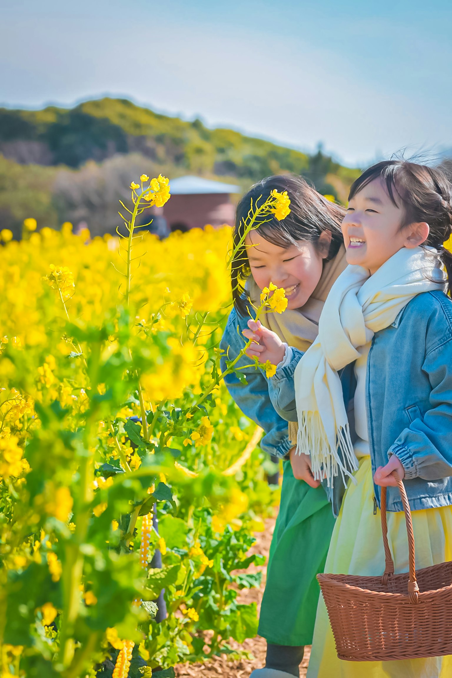 黄色い菜の花畑で笑顔の二人の女の子が花を持っている
