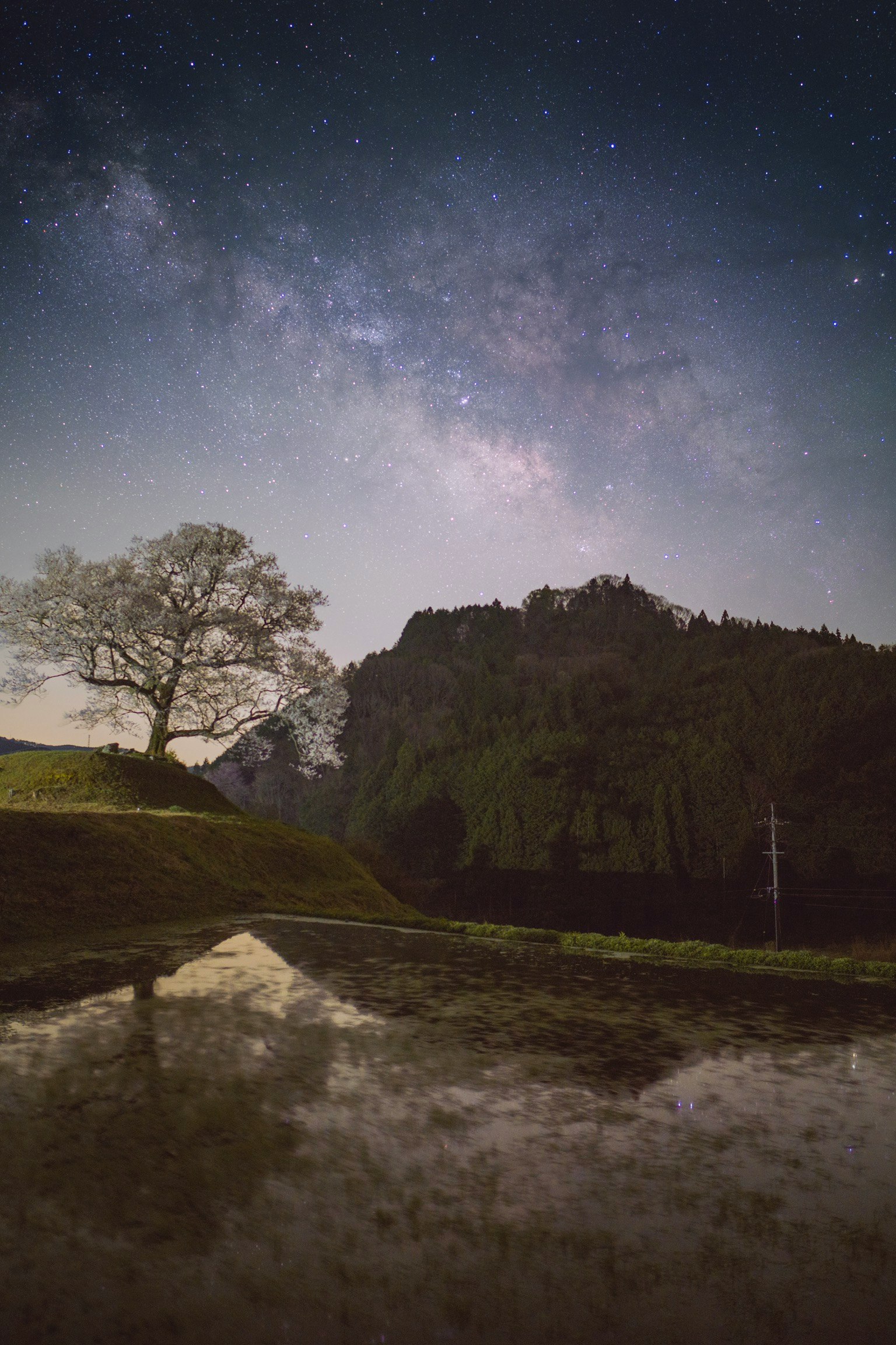 神宮寺遺址的江戶彼岸（Edhigan）夜空與星空景觀