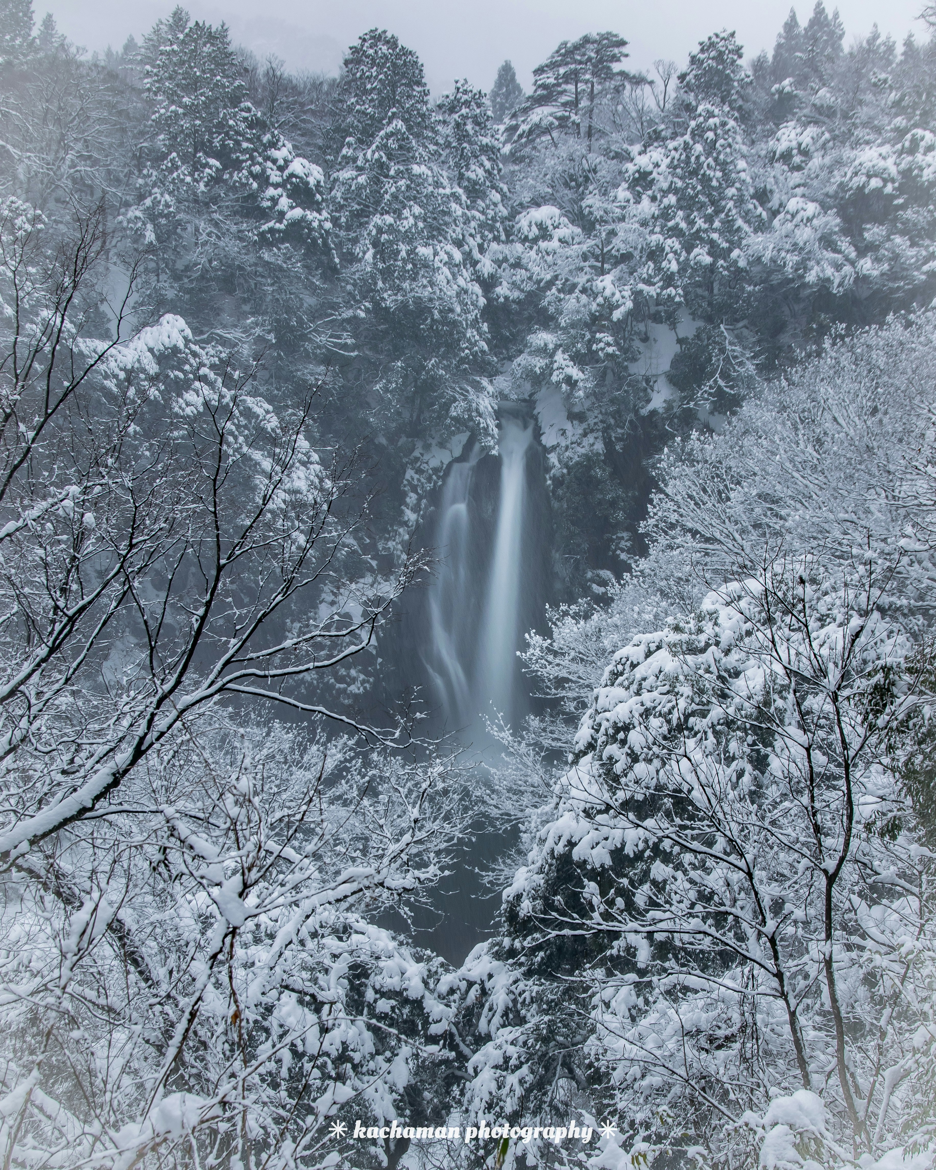 雪に覆われた滝と木々の美しい風景