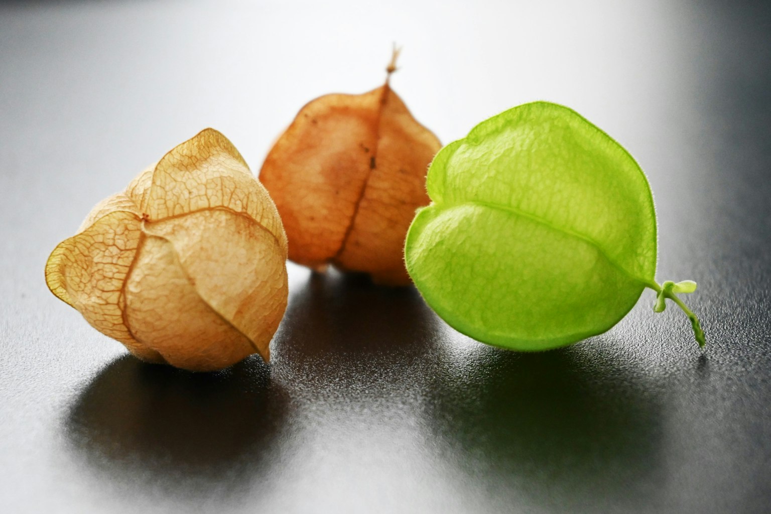 Drei Physalis-Früchte in verschiedenen Farben auf einer schwarzen Oberfläche