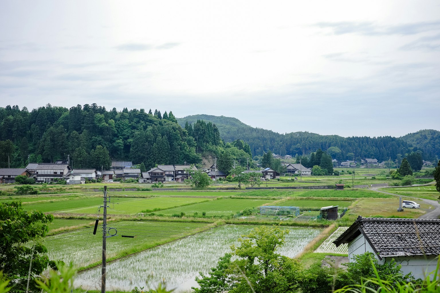风景如画的农村景观，稻田和山脉