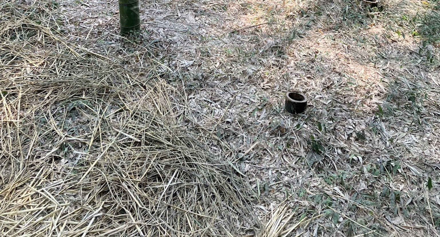 Un paysage avec un petit pot visible sur le sol recouvert de paille