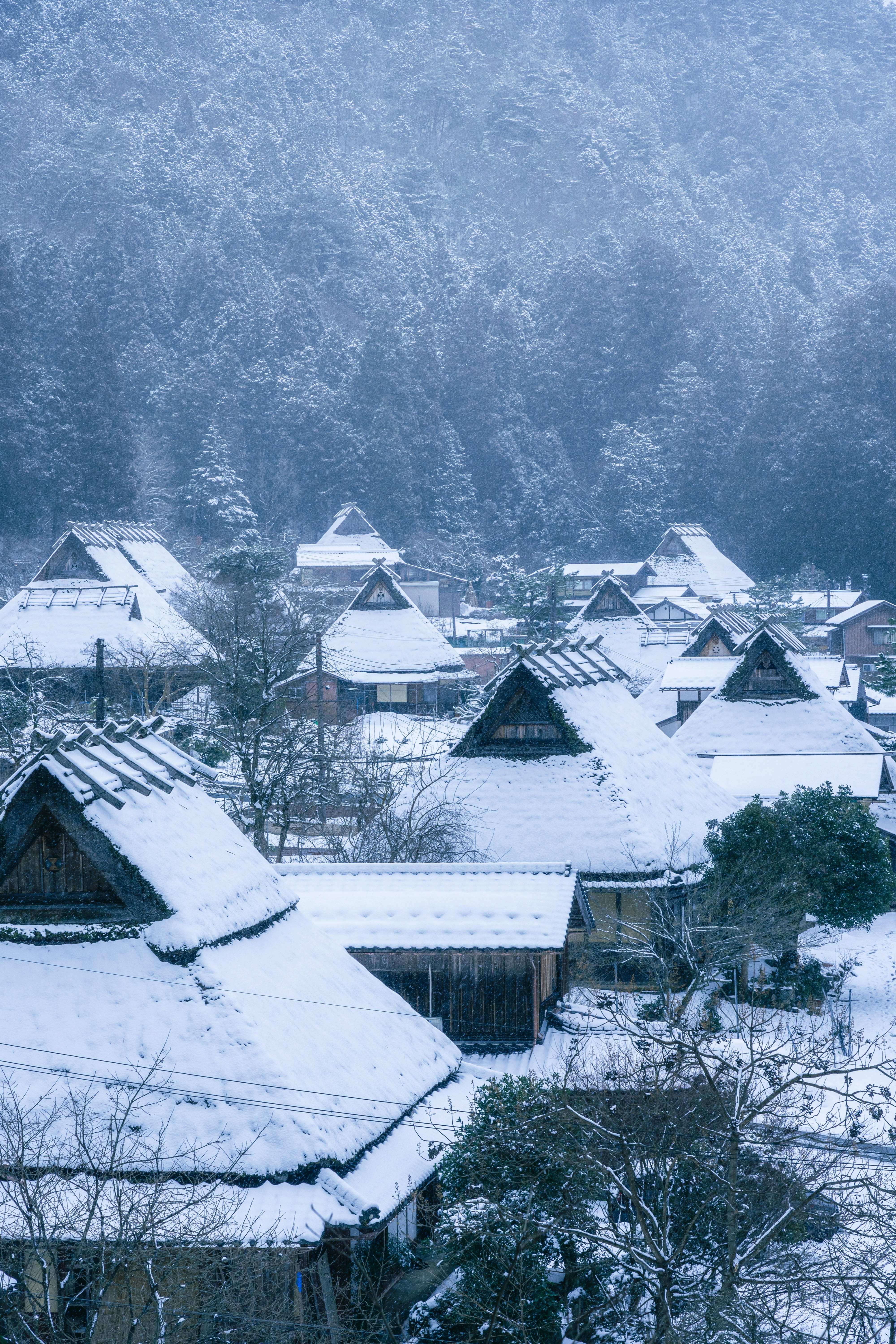 Paesaggio invernale con case dai tetti di paglia a Miyama Kayabuki-no-Sato coperte di neve
