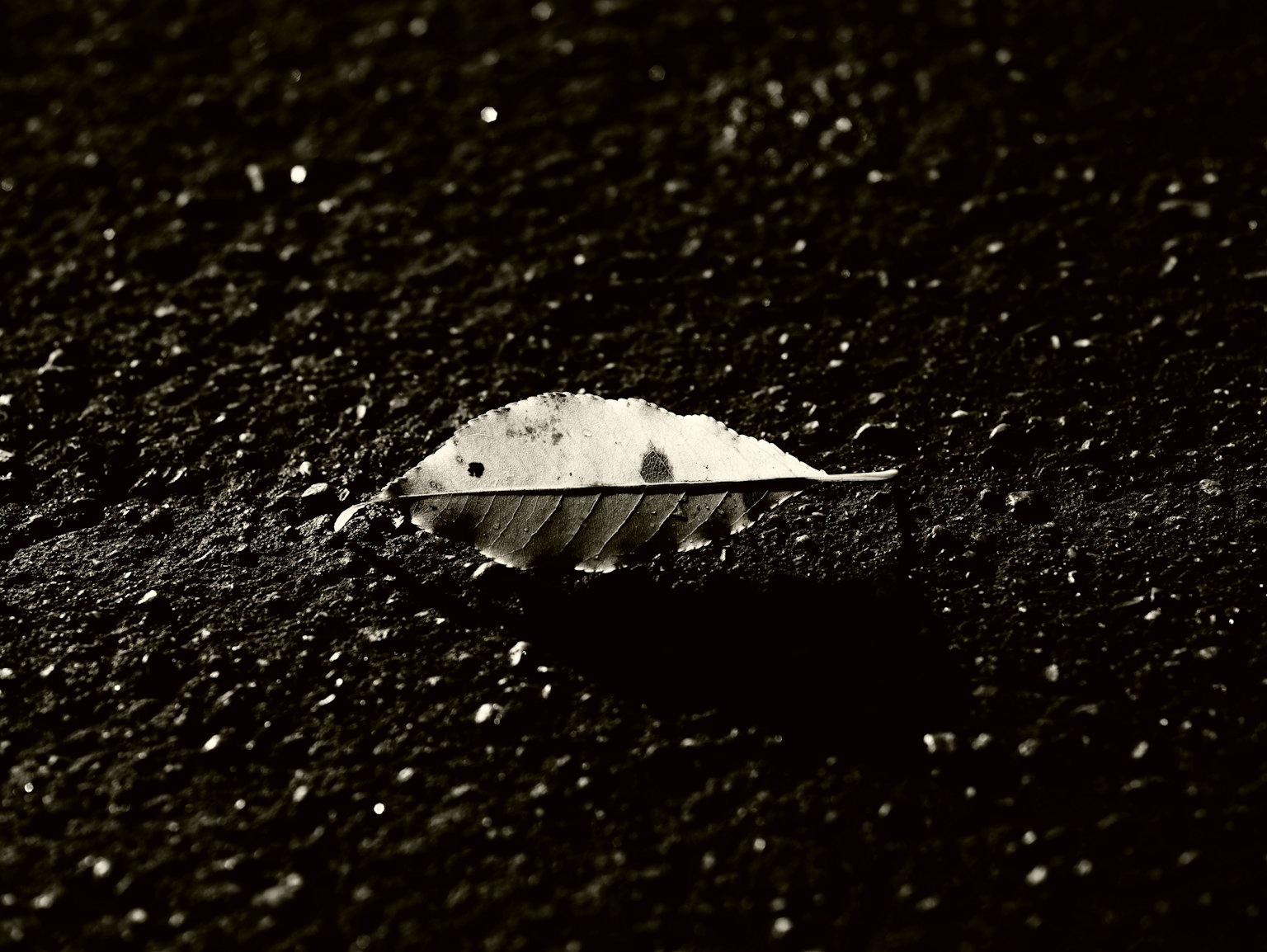 photo-nUGnXIjsBlWzRGx6NZwp-image