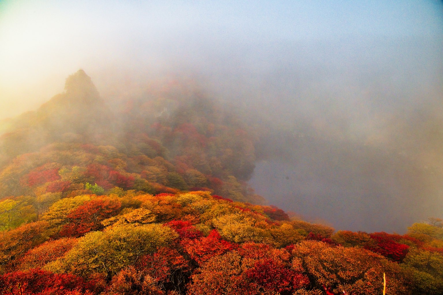 Eine Landschaft mit herbstlichem Laub in Nebel gehüllt