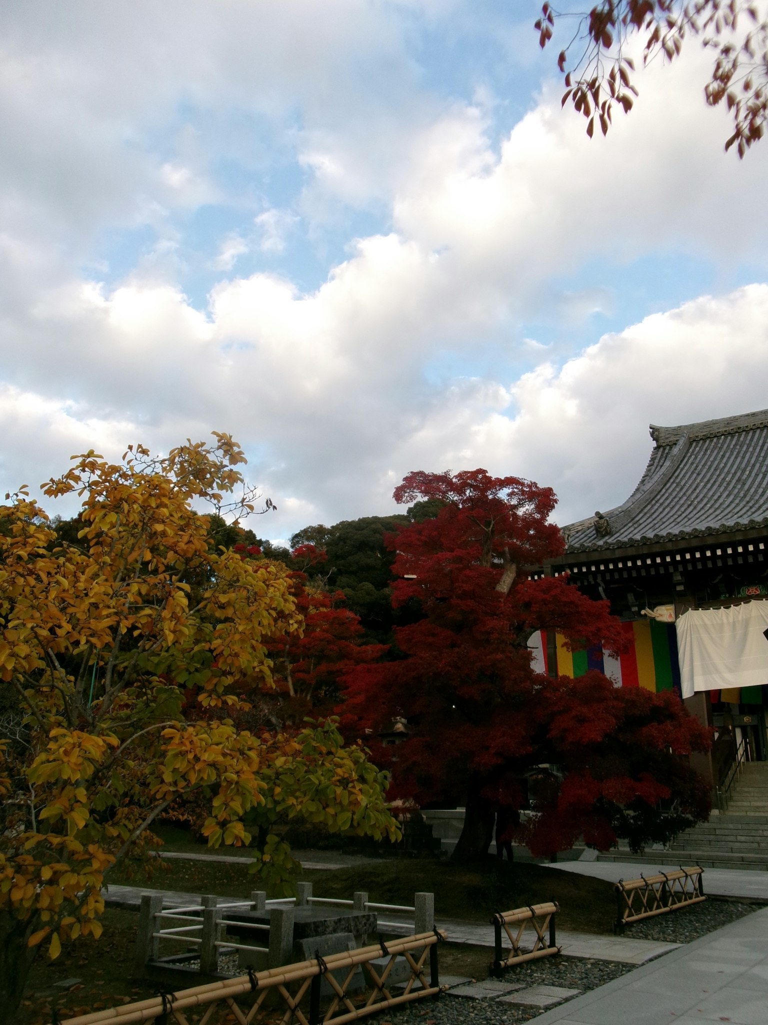 色とりどりの紅葉と寺院の外観が見える風景