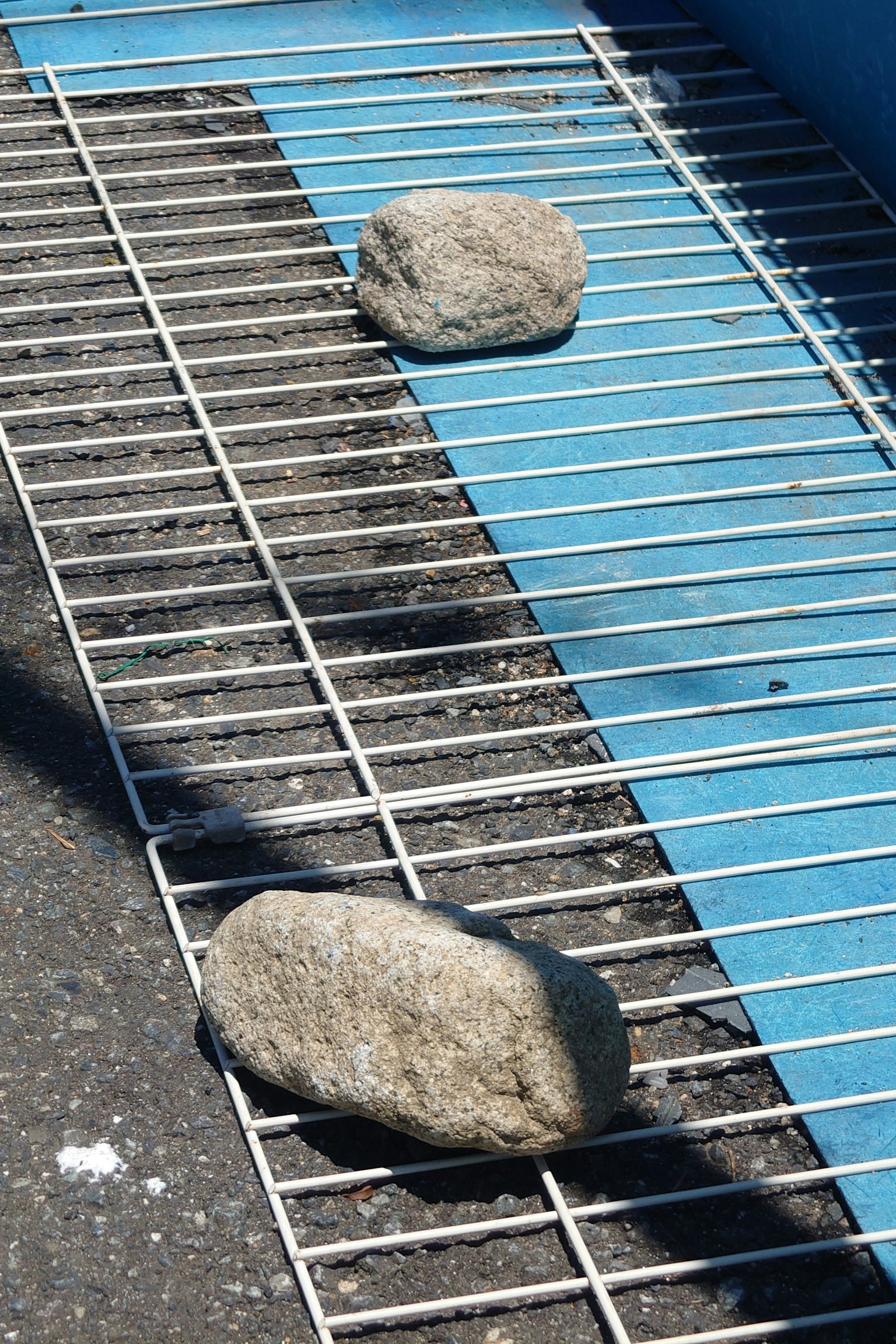 Two rocks placed on a blue metal grid