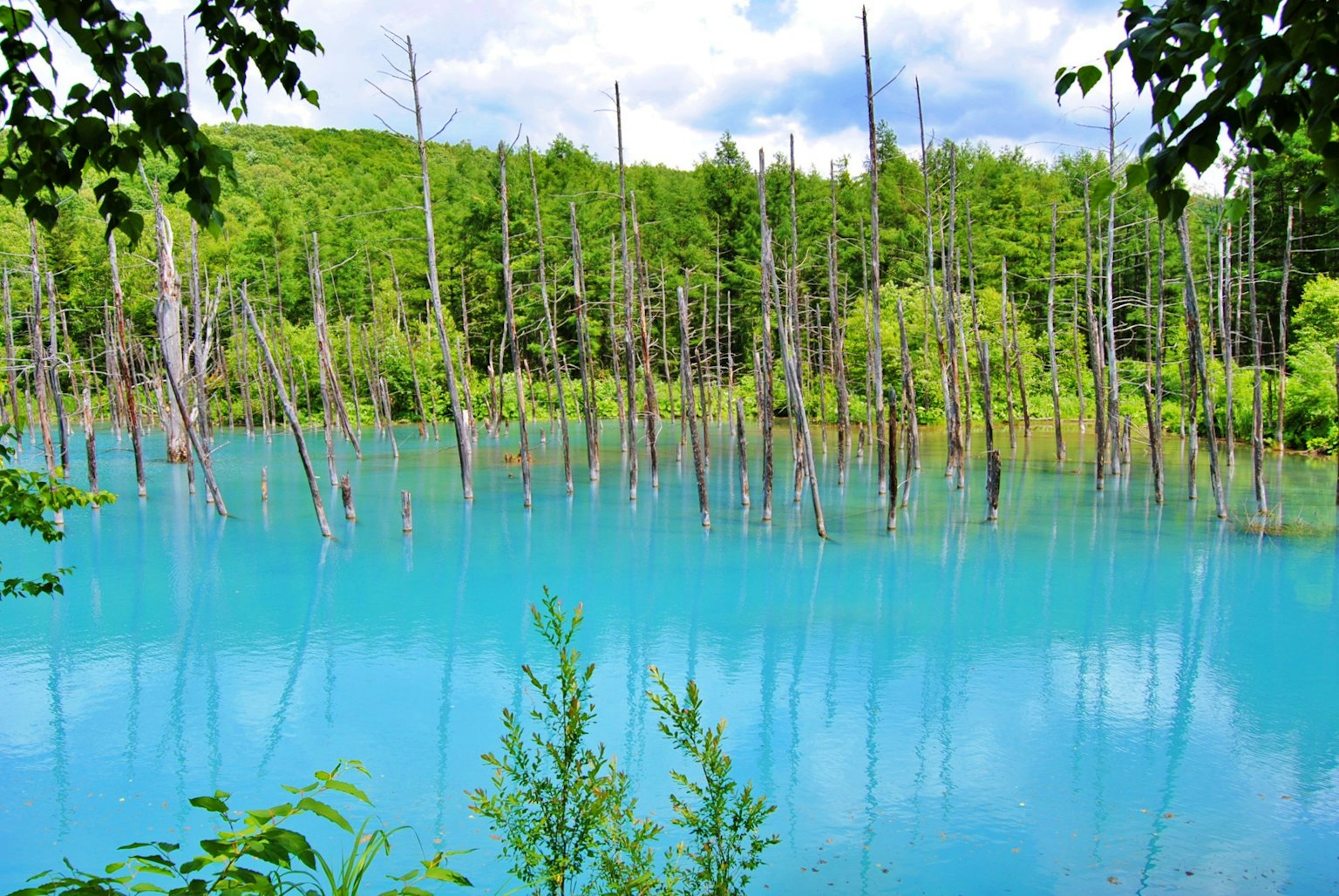 Bellissimo paesaggio lacustre con acqua blu e alberi morti in piedi