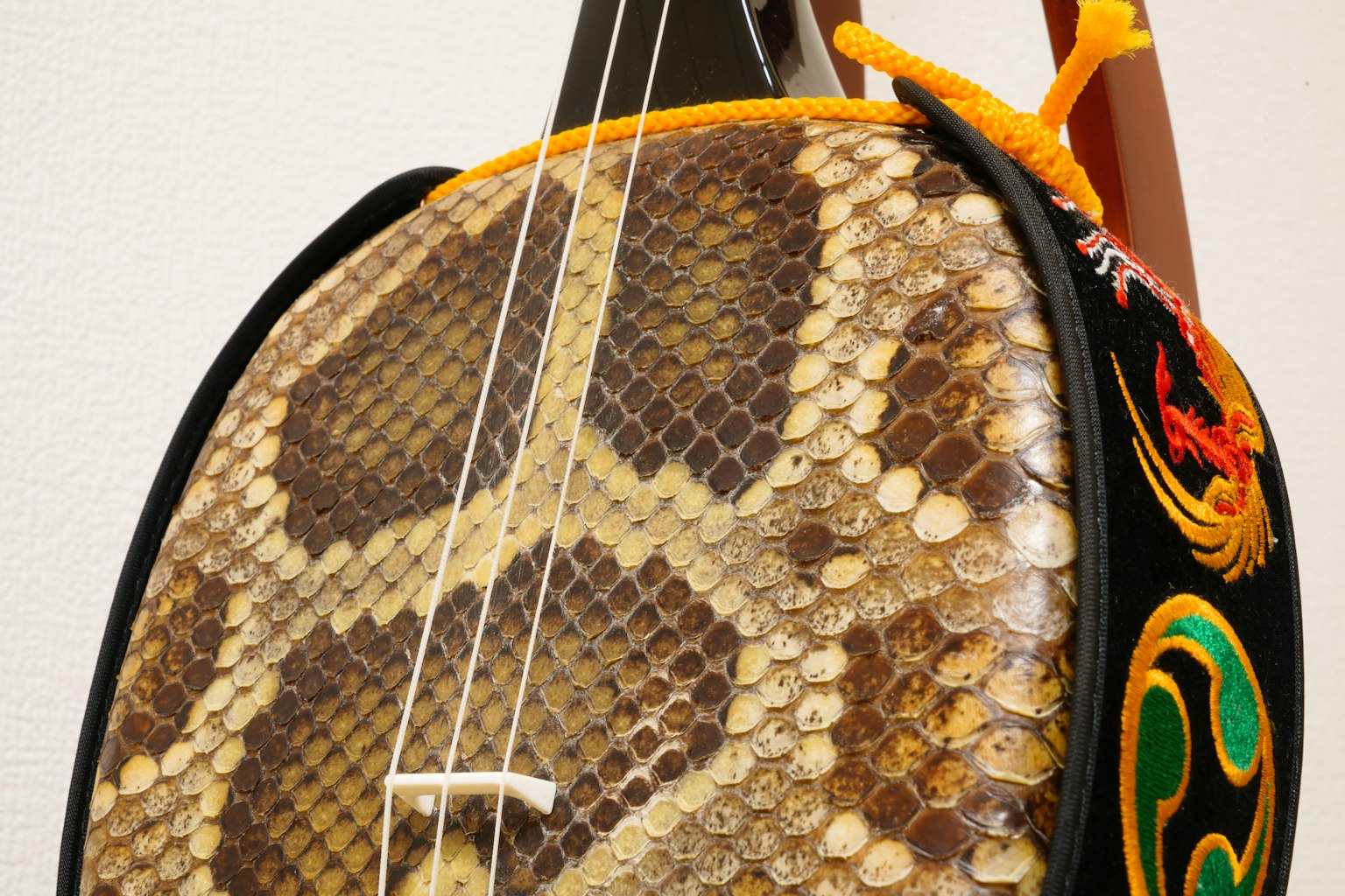 Tampilan samping alat musik unik yang dilapisi kulit ular