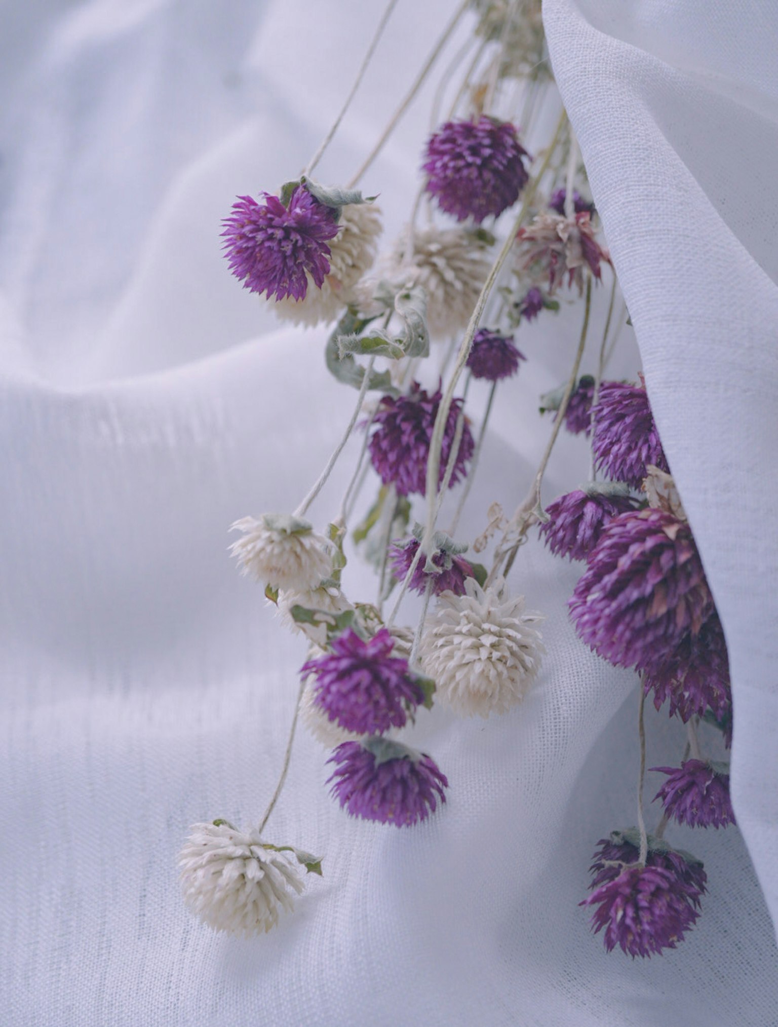 Un bouquet di fiori viola e bianchi su un tessuto bianco