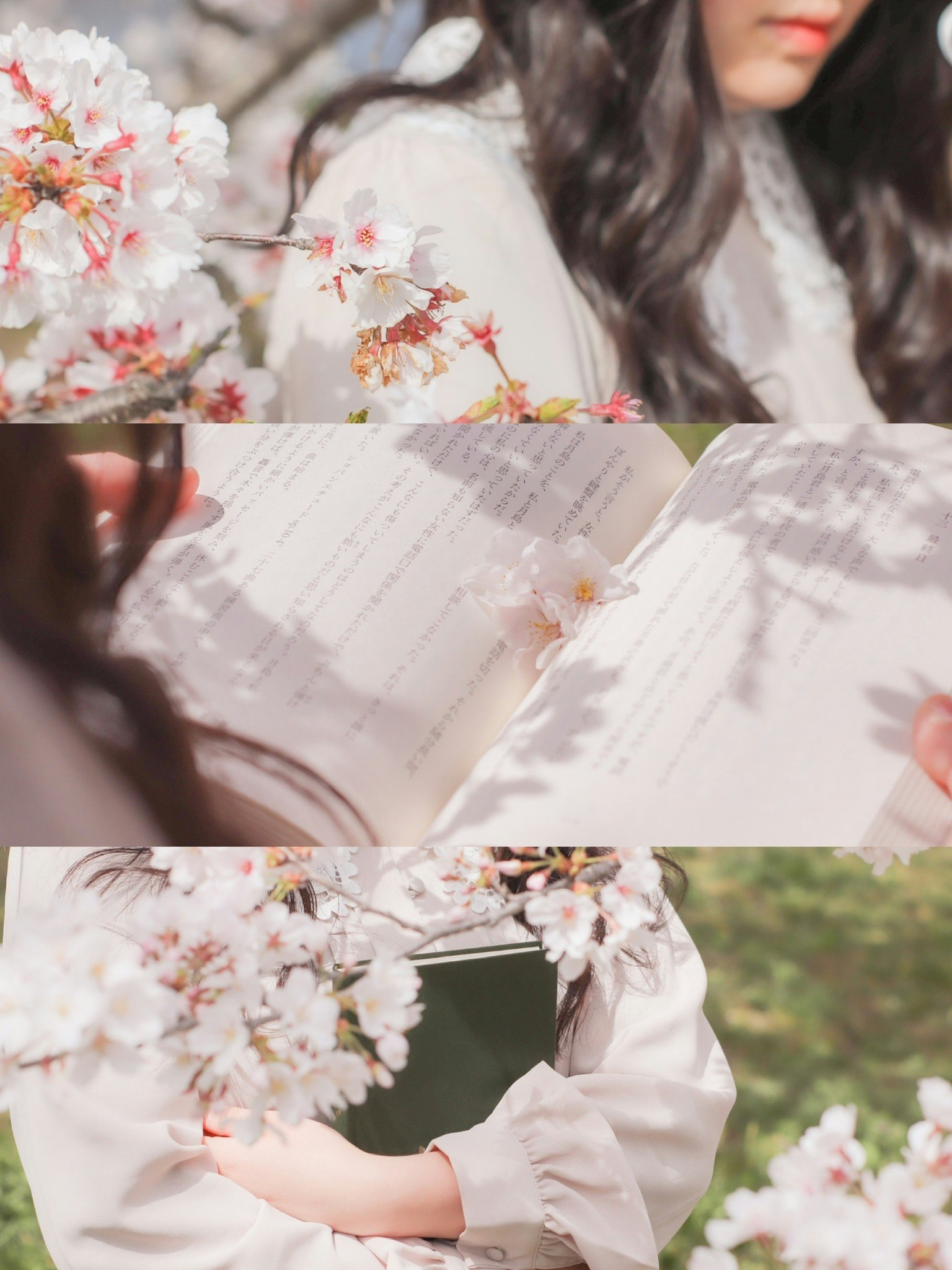 桜の花と春のポートレートで手紙を読む女性