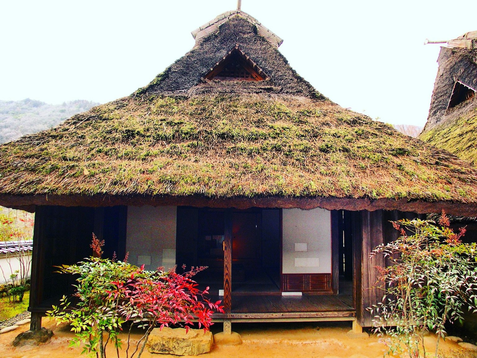 Extérieur d'une maison traditionnelle avec un toit de chaume entouré de plantes à fleurs