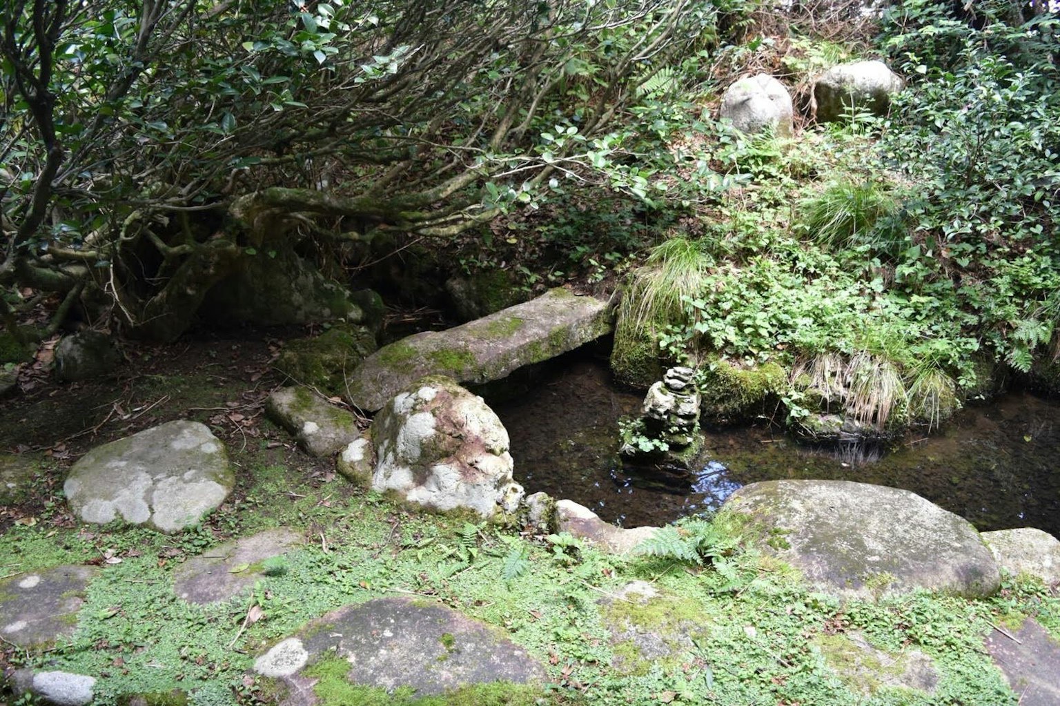 Puente de piedra cerca de un arroyo rodeado de vegetación exuberante