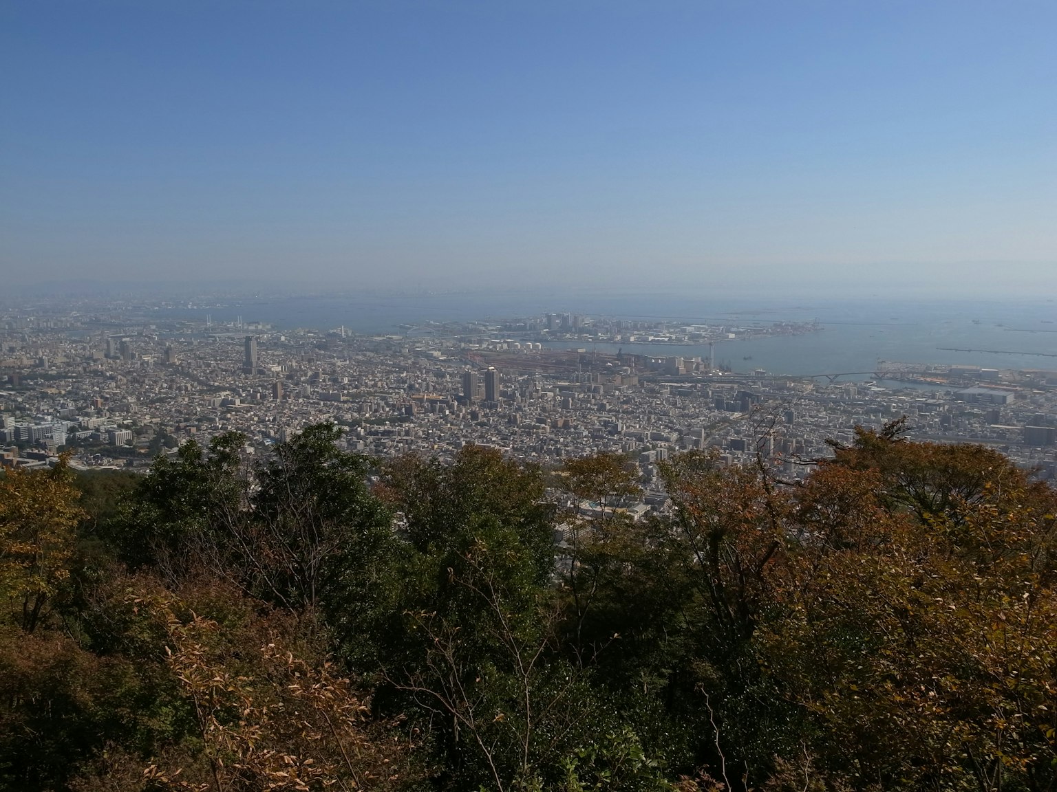 Vista panoramica di una città con fogliame autunnale