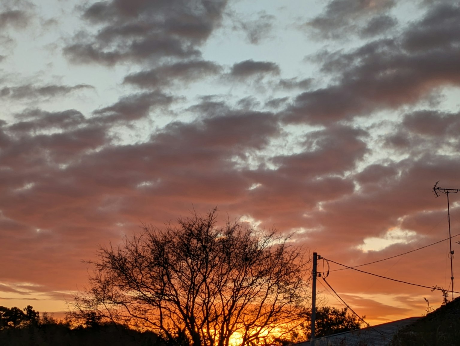 Silhouette eines Baumes vor einem Sonnenuntergangshimmel mit bunten Wolken