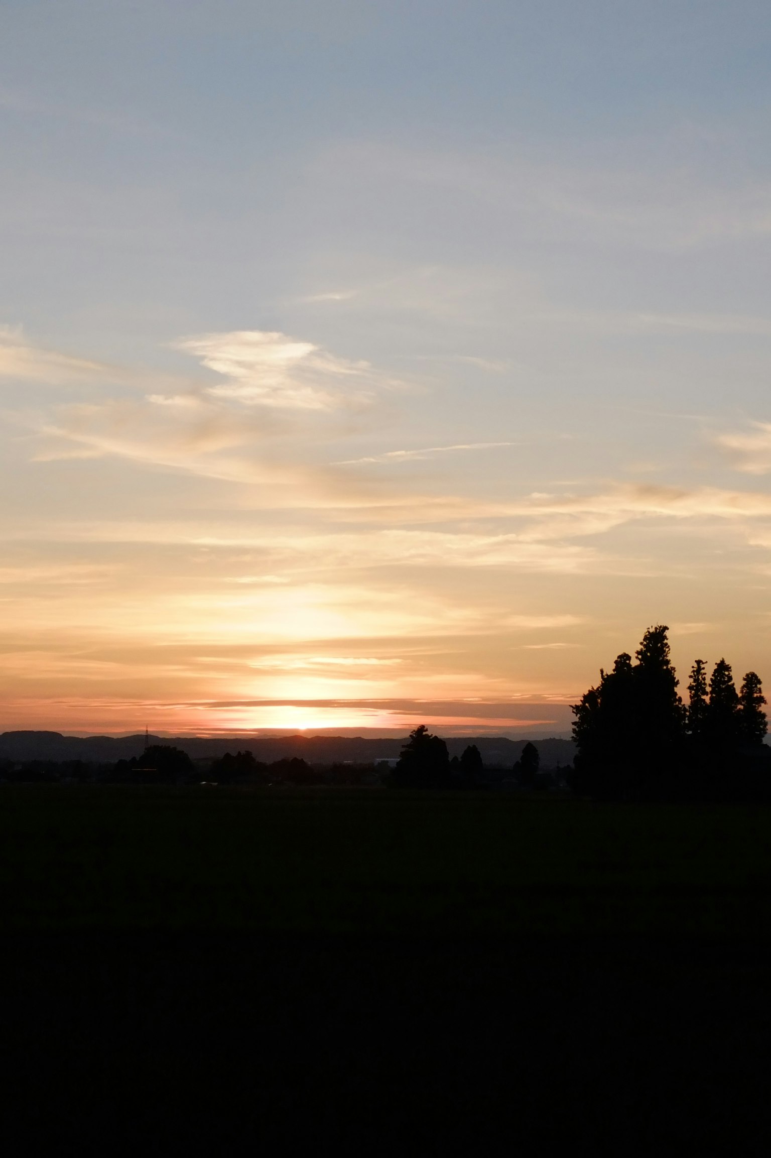 Landschaft mit Sonnenuntergangshimmel und silhouettierten Bäumen