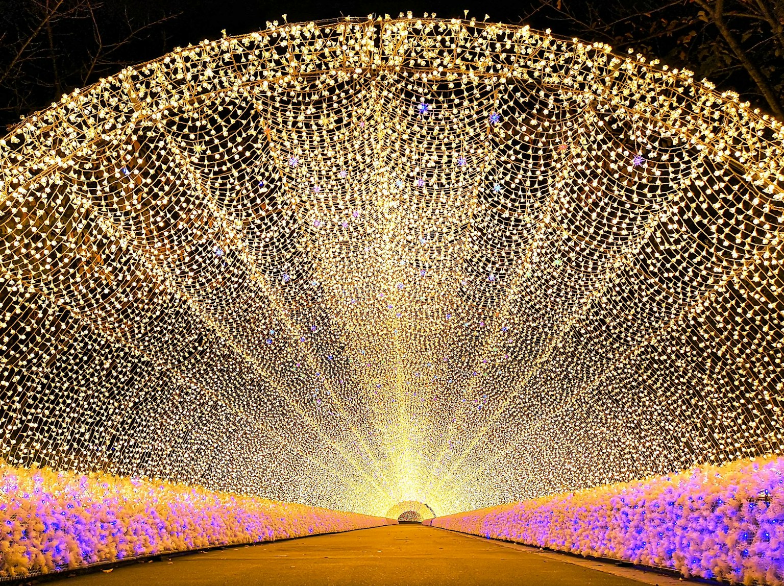 อุโมงค์แสงที่สวยงามพร้อมการออกแบบที่ซับซ้อนในสภาพแวดล้อมตอนกลางคืน