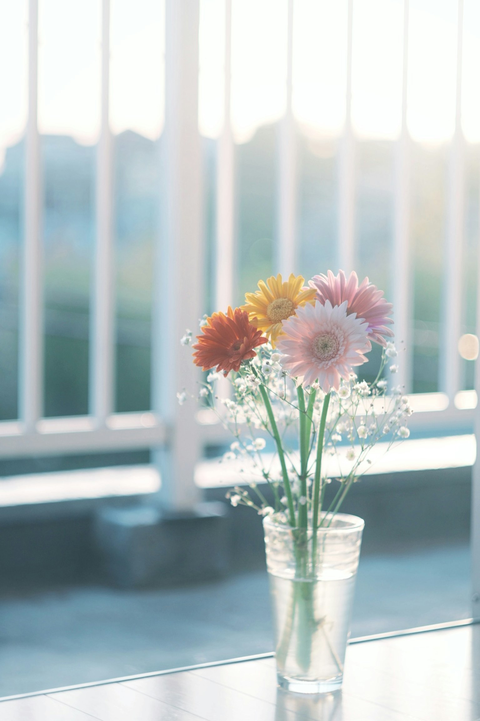 Fleurs colorées dans un vase transparent avec une lumière douce en arrière-plan